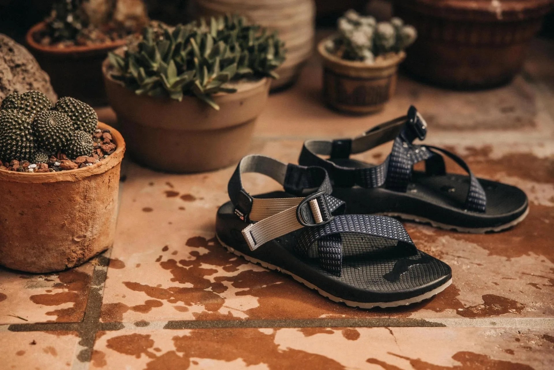 Chaco Z/1 classic sandal made in collaboration with Taylor Stitch featuring the brands navy wae coloring. 