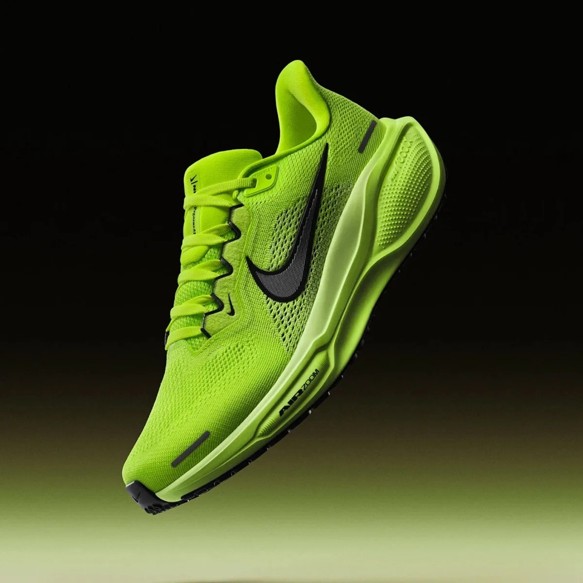 Nike Pegasus 41