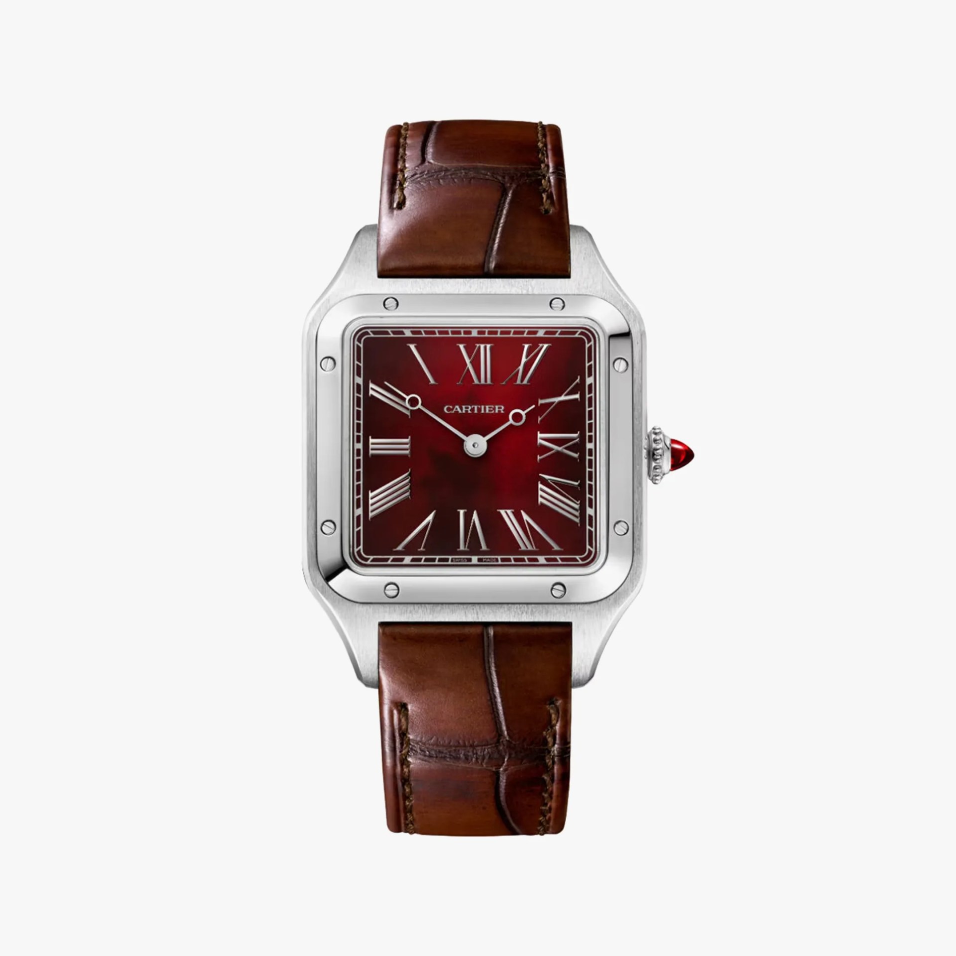 luxury watch
