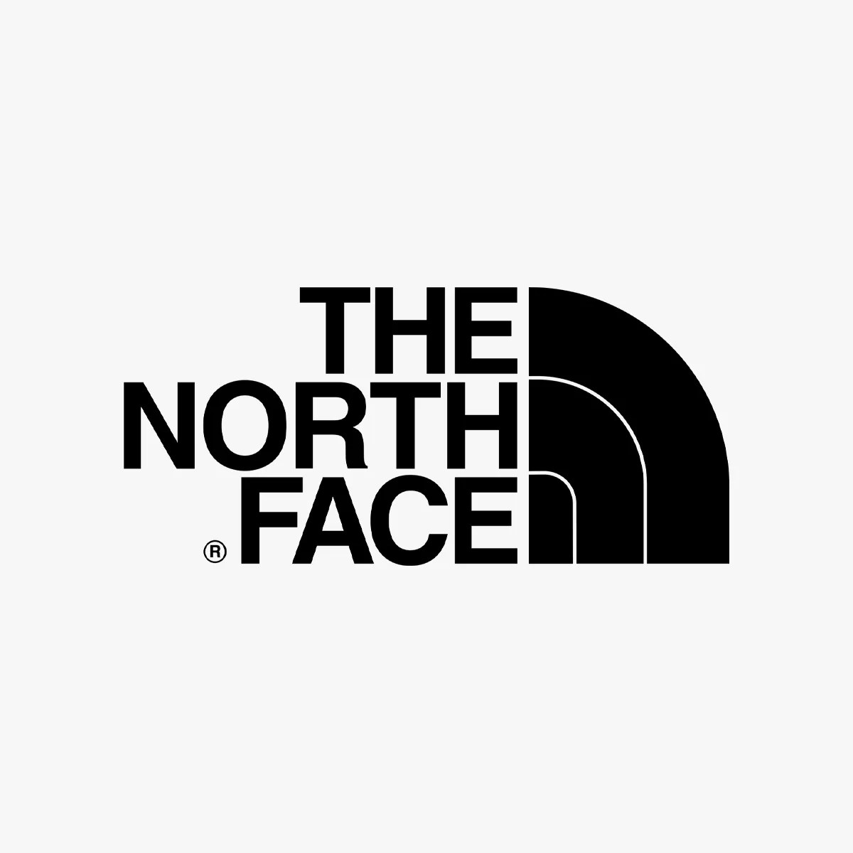 The North Face brand logo on grey background