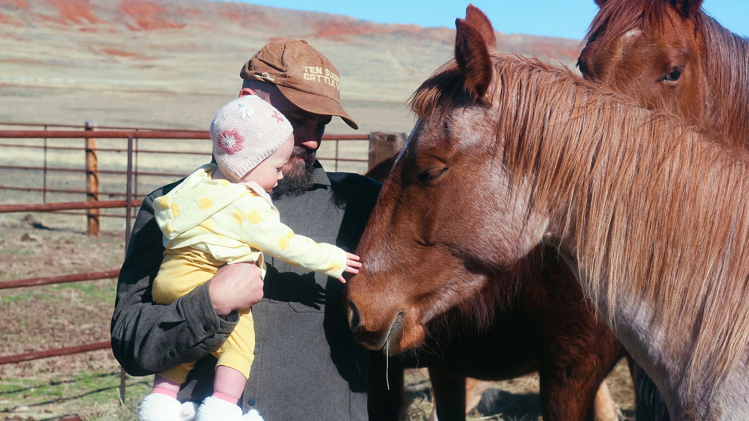 father holding daughter petting two horses