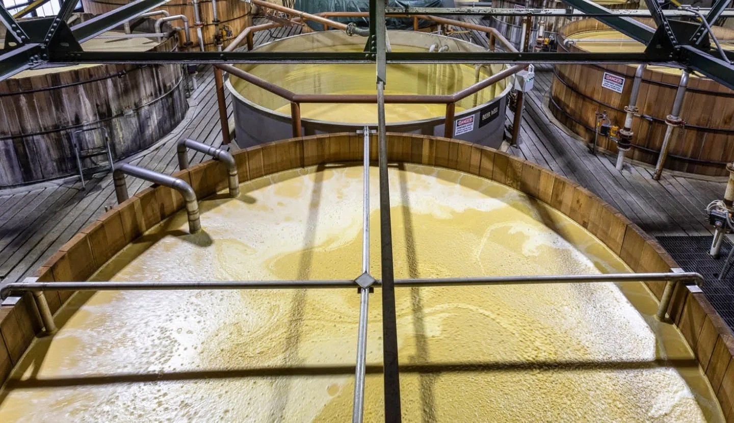 Image of Four Roses distillery showing vats of fermenting yeast