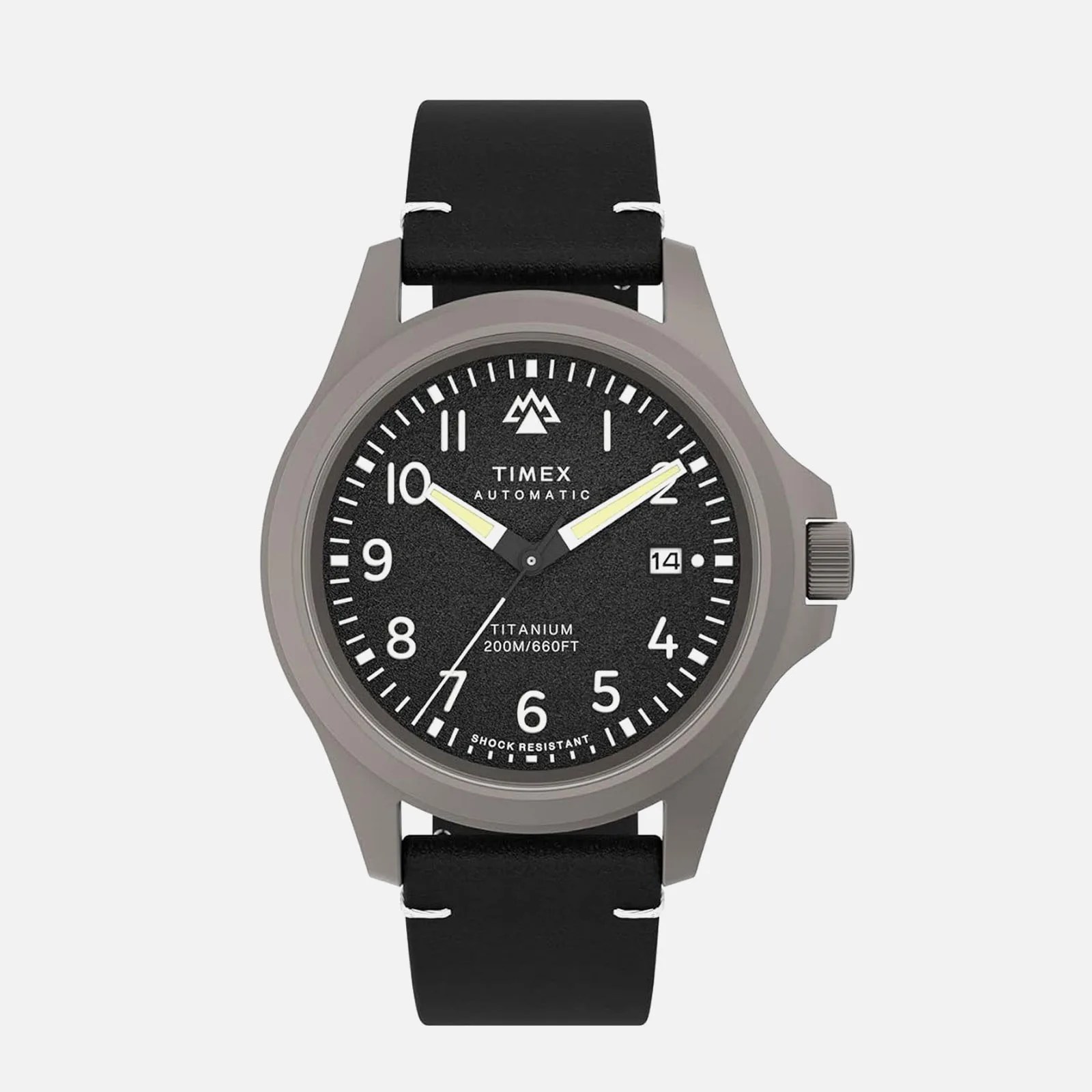 a timex field watch