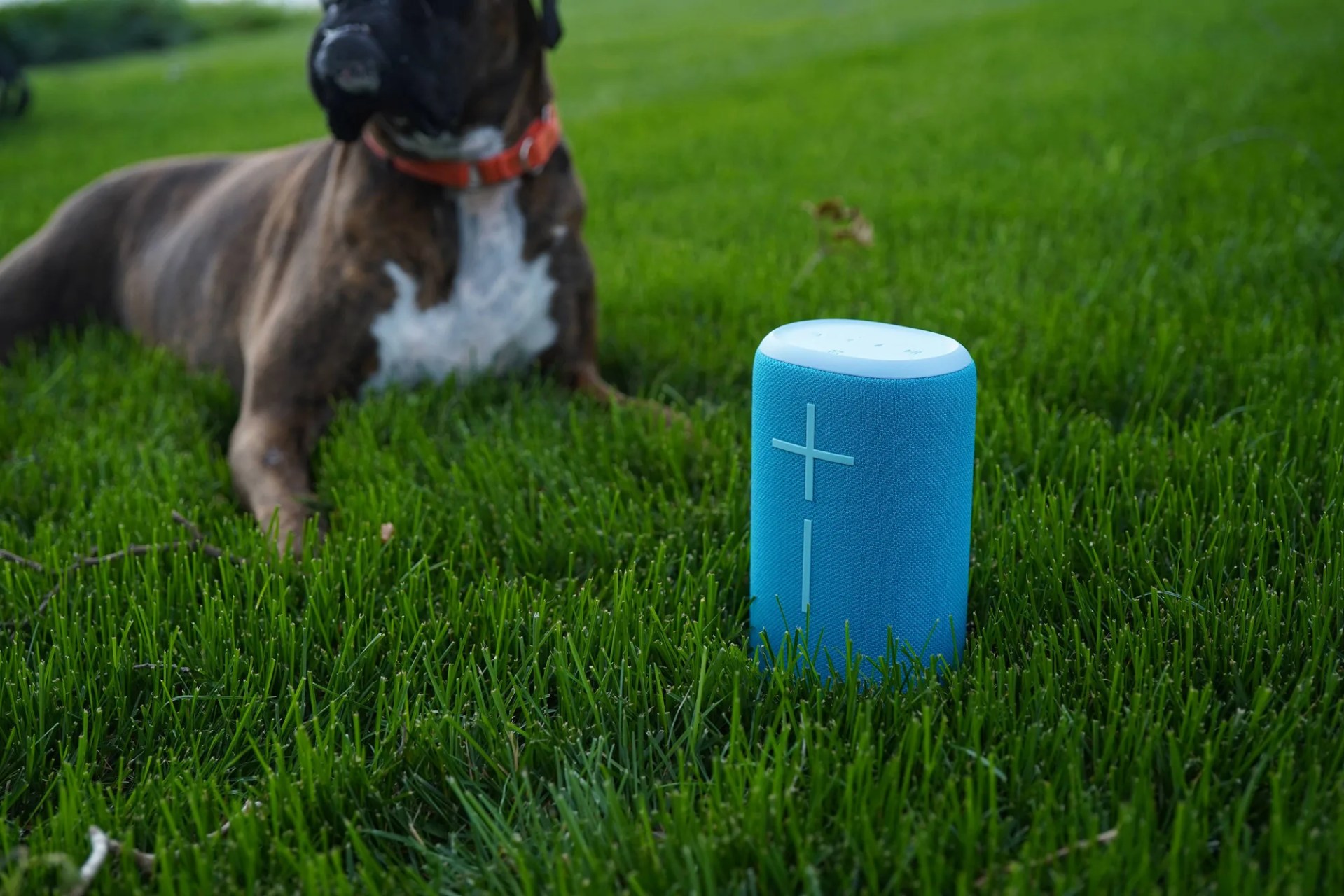 Ultimate Ears Everboom portable speaker