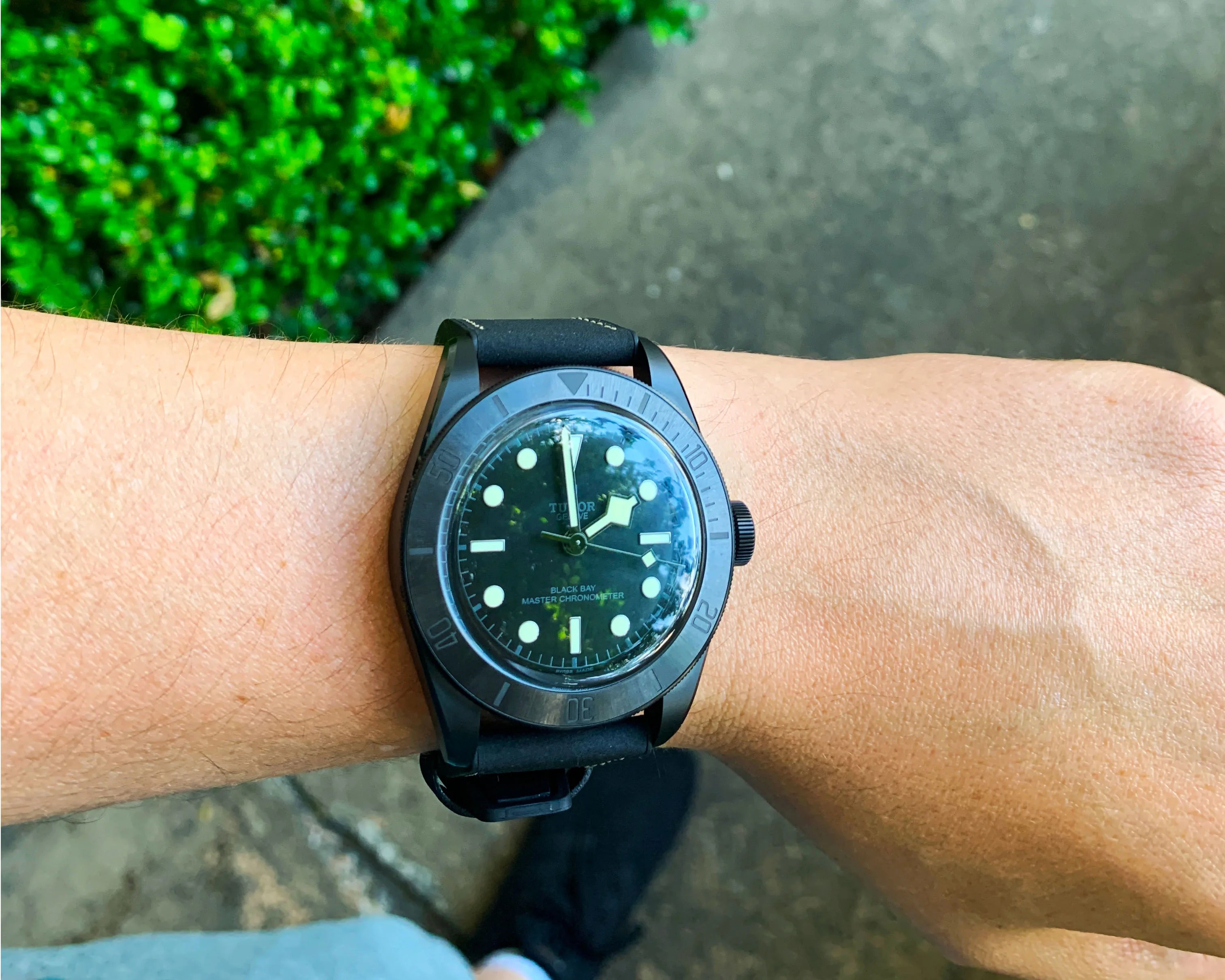 tudor watch on mans wrist
