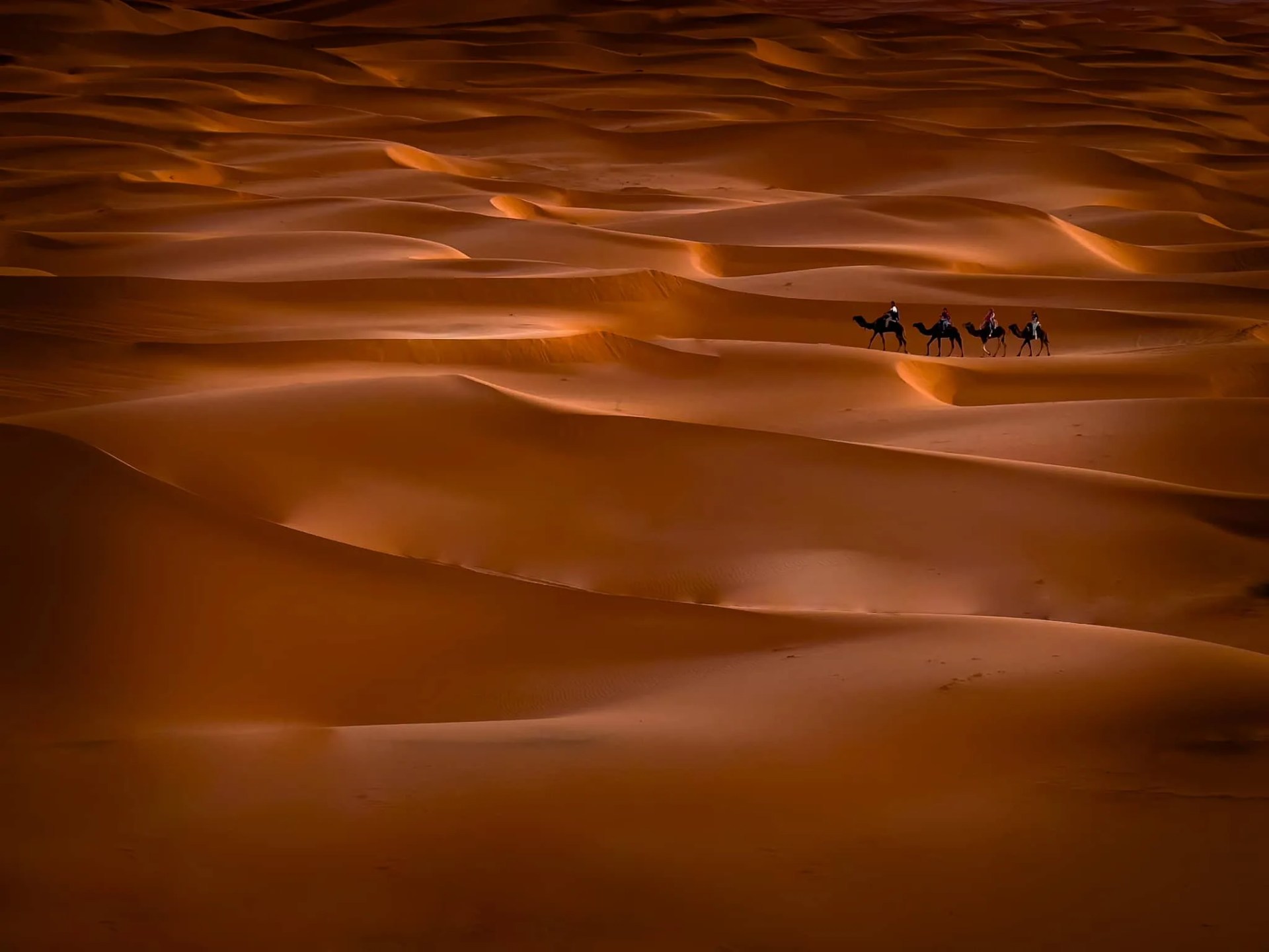 2024 IPPAward winner for travel