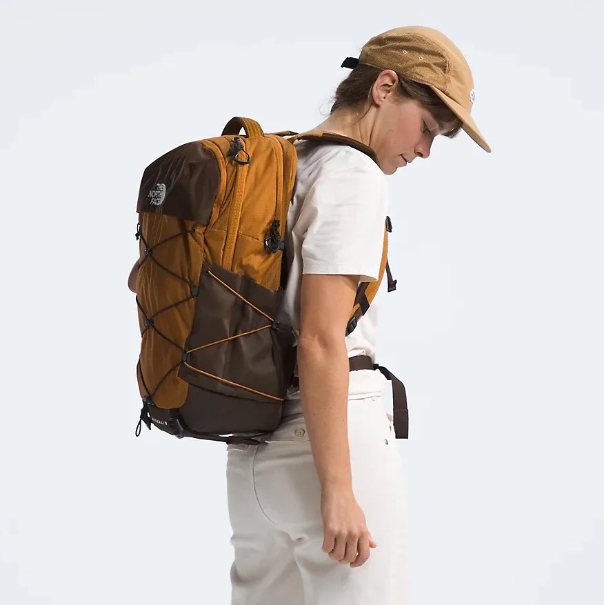 brown backpack