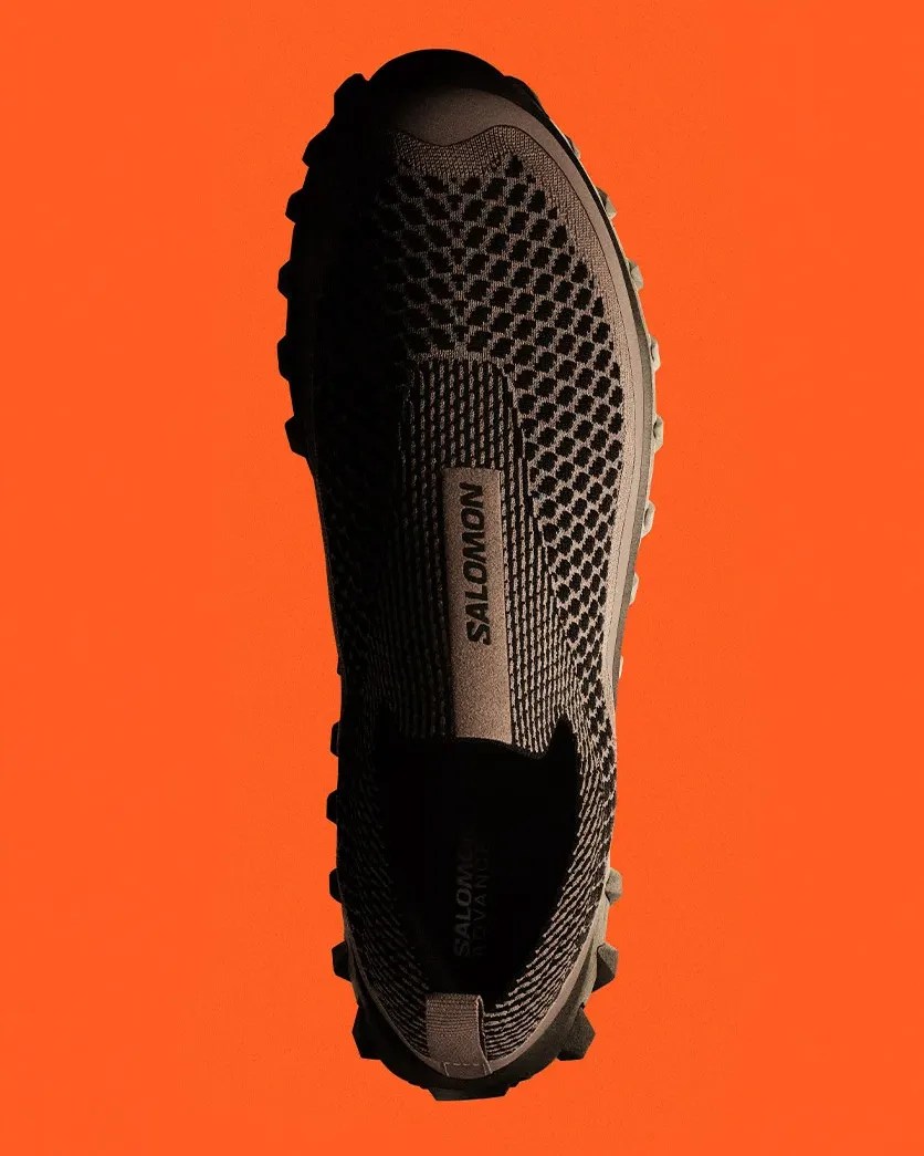 salomon hiking shoe