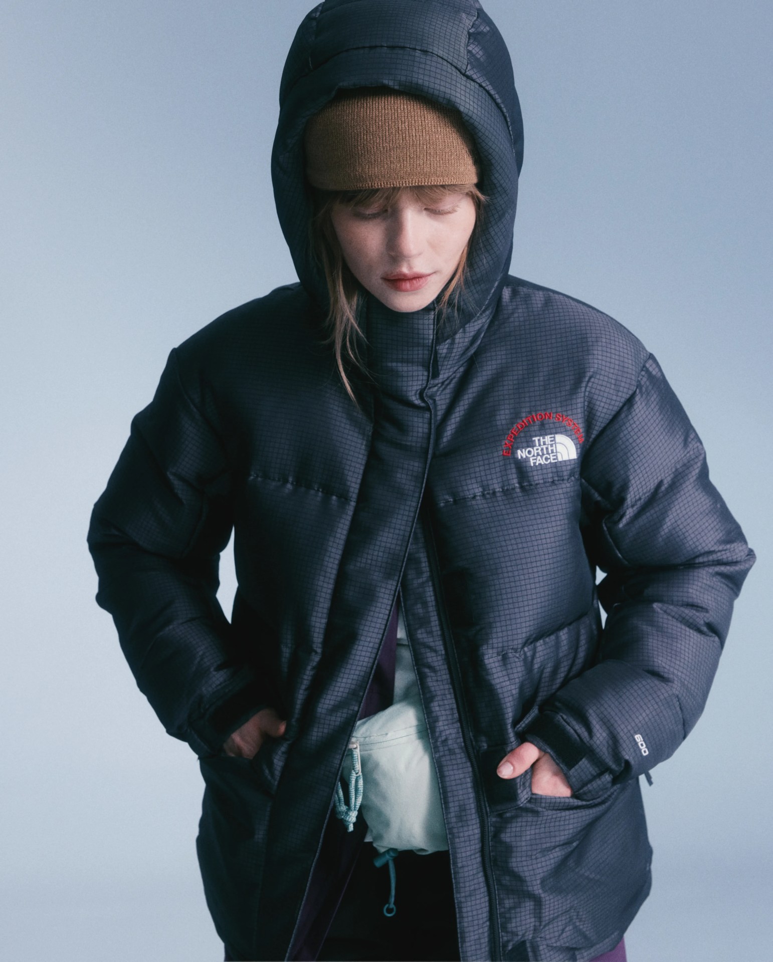 The North Face HMLYN Parka 30th Anniversary