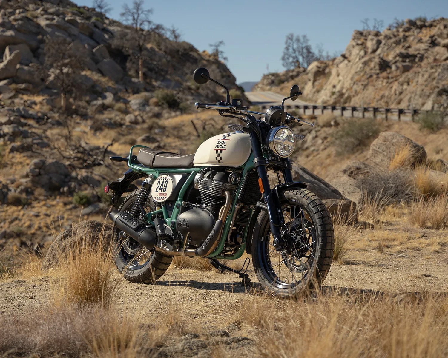 bear 650 beauty