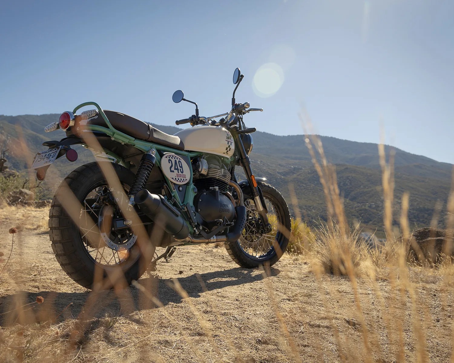 bear 650 rear view