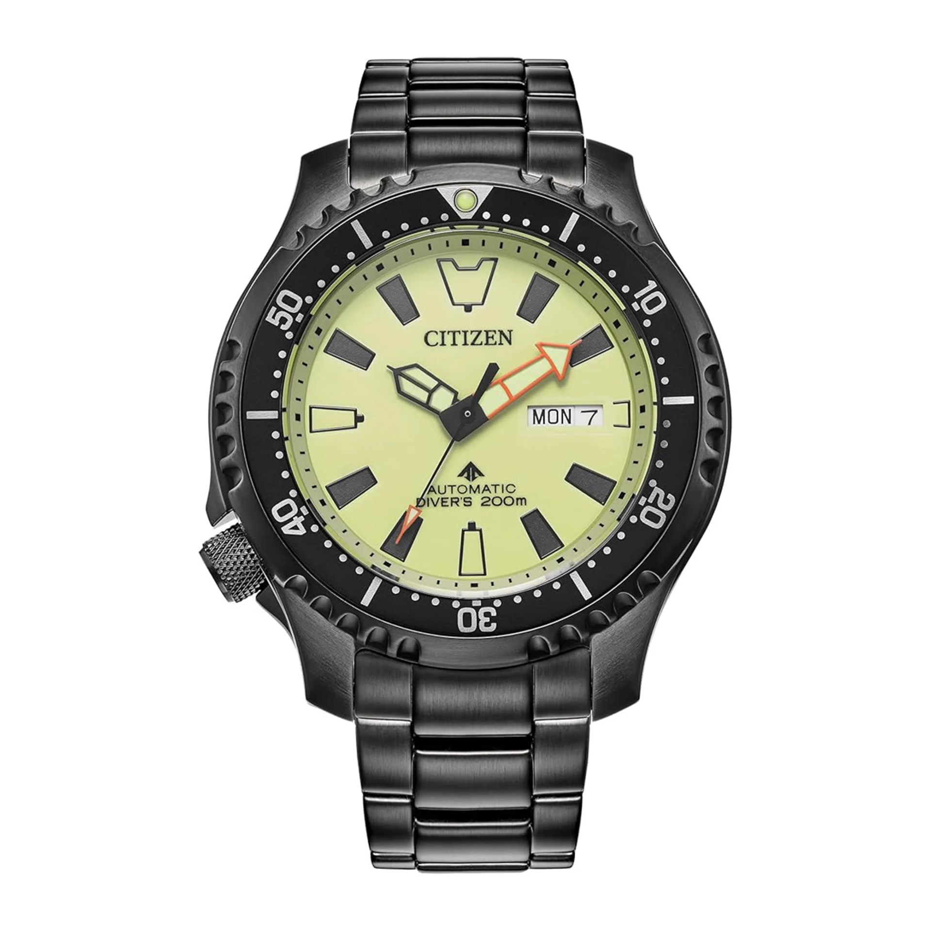 citizen dive watch