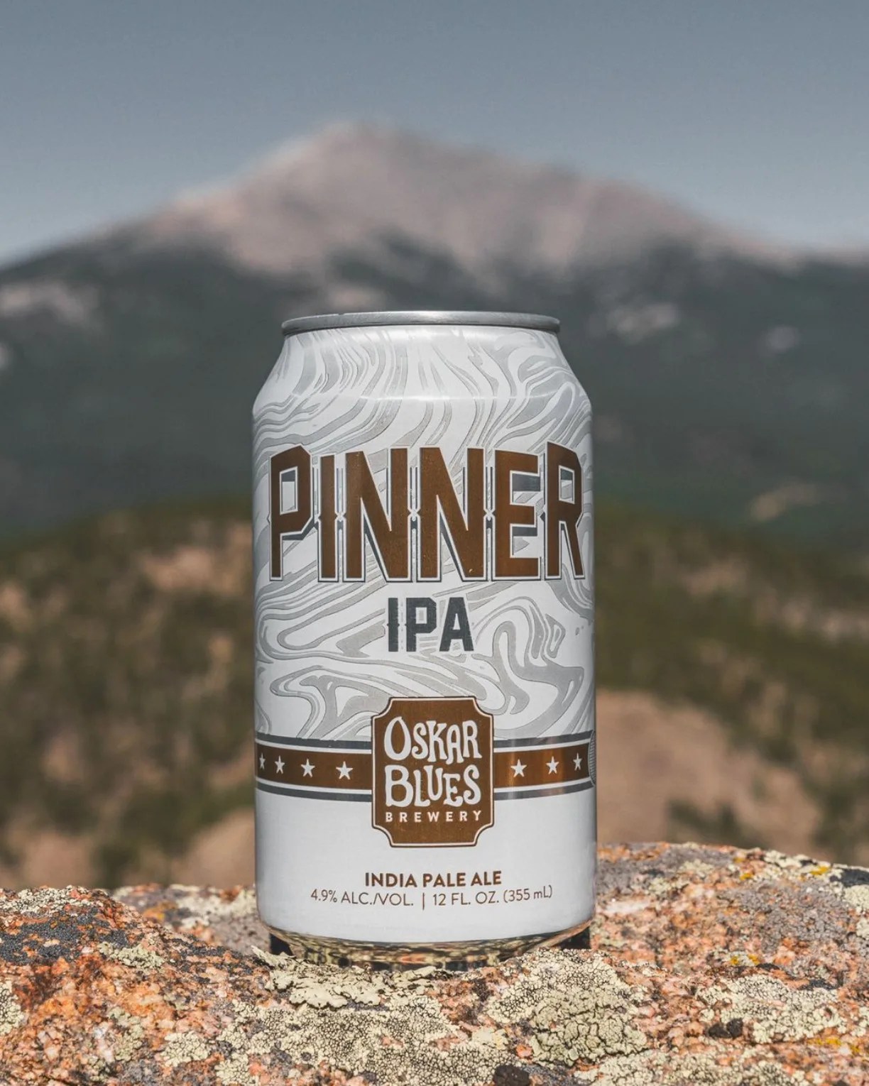 dale's beer