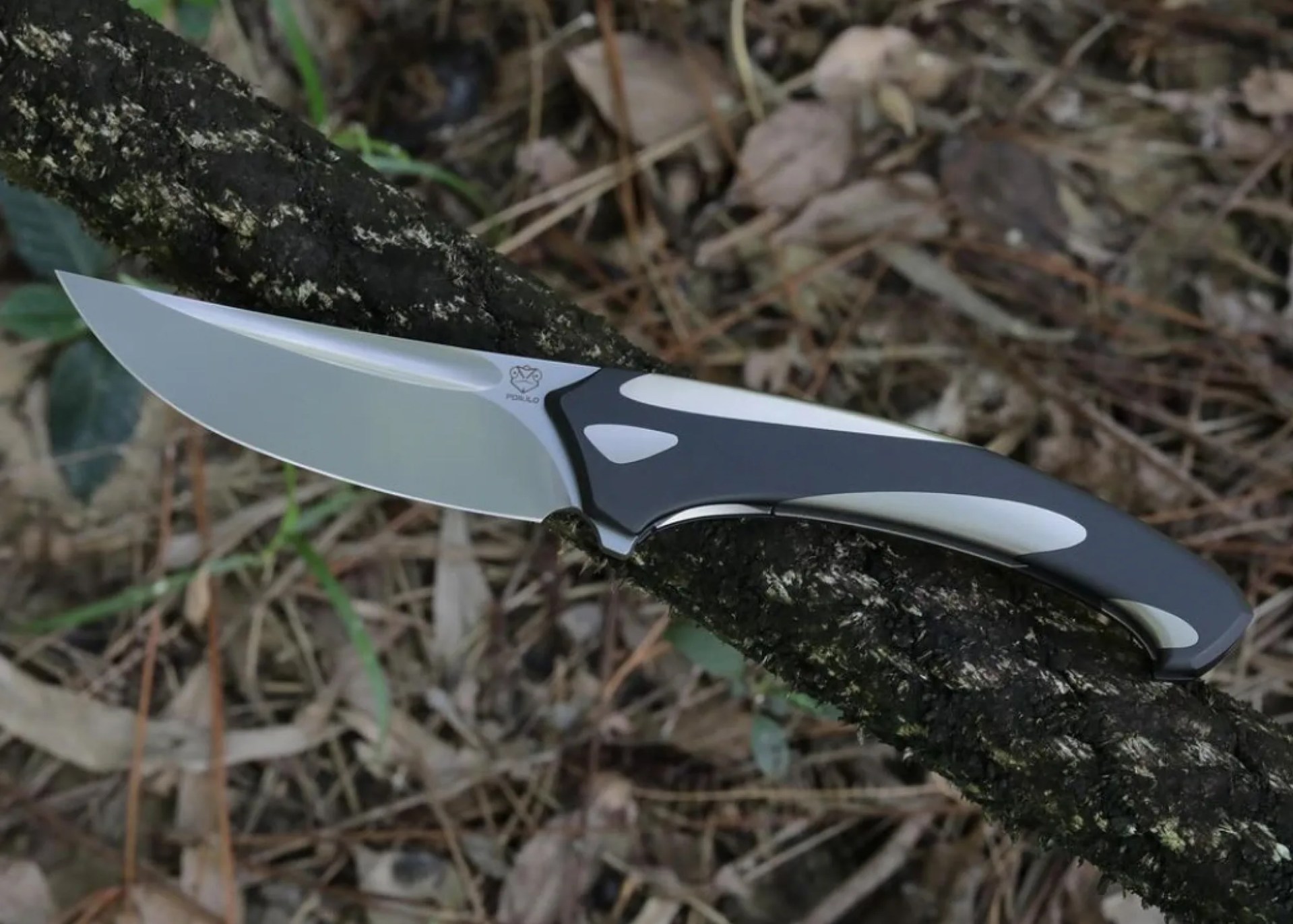 poikilo orca full view