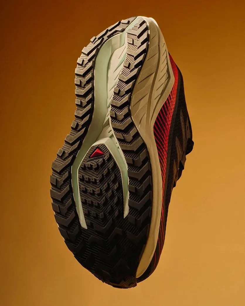 Salomon running shoe
