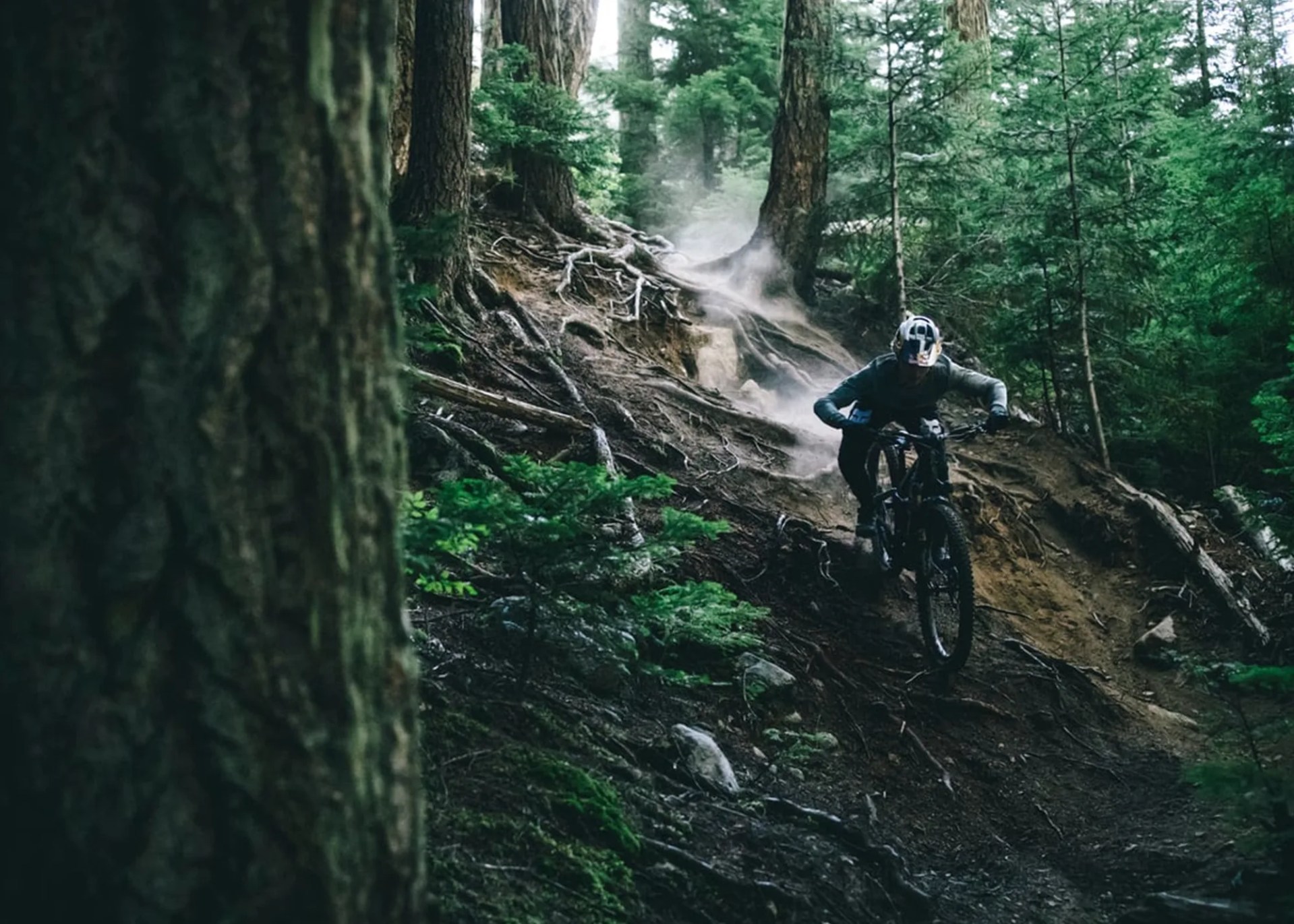 santa-cruz-vala-action