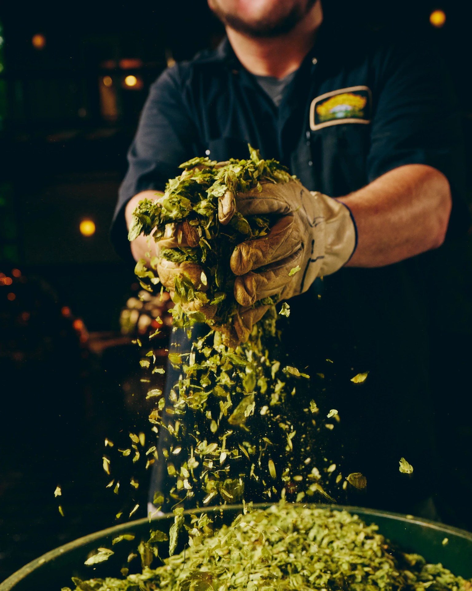 beer hops