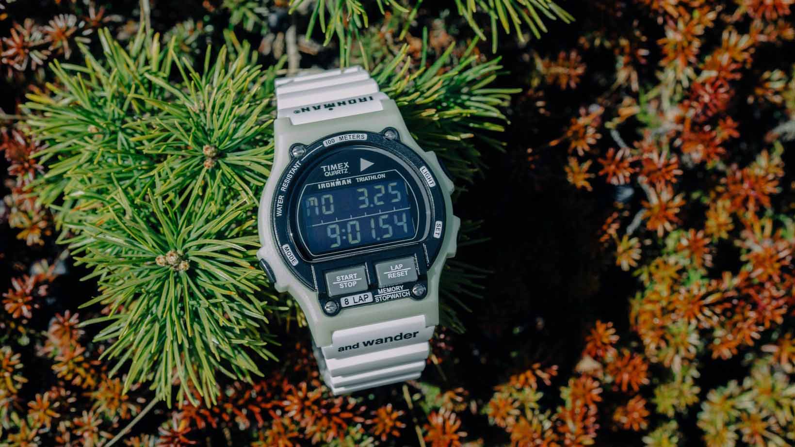 white timex ironman watch