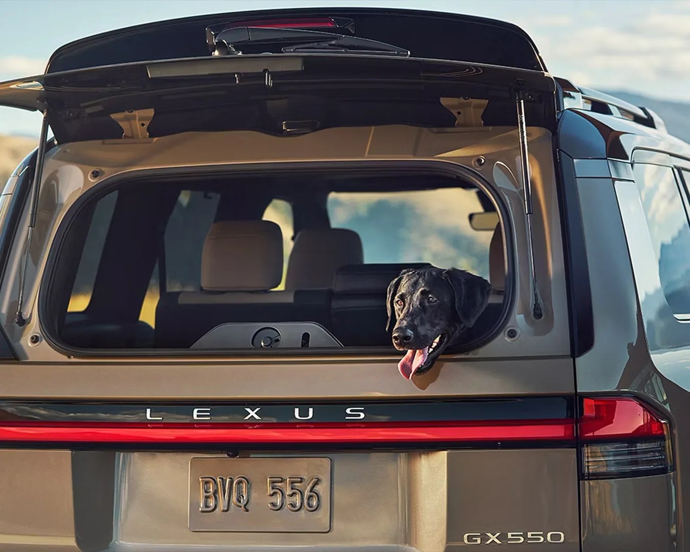 dog looking out the back trunk window of a Lexus GX SUV