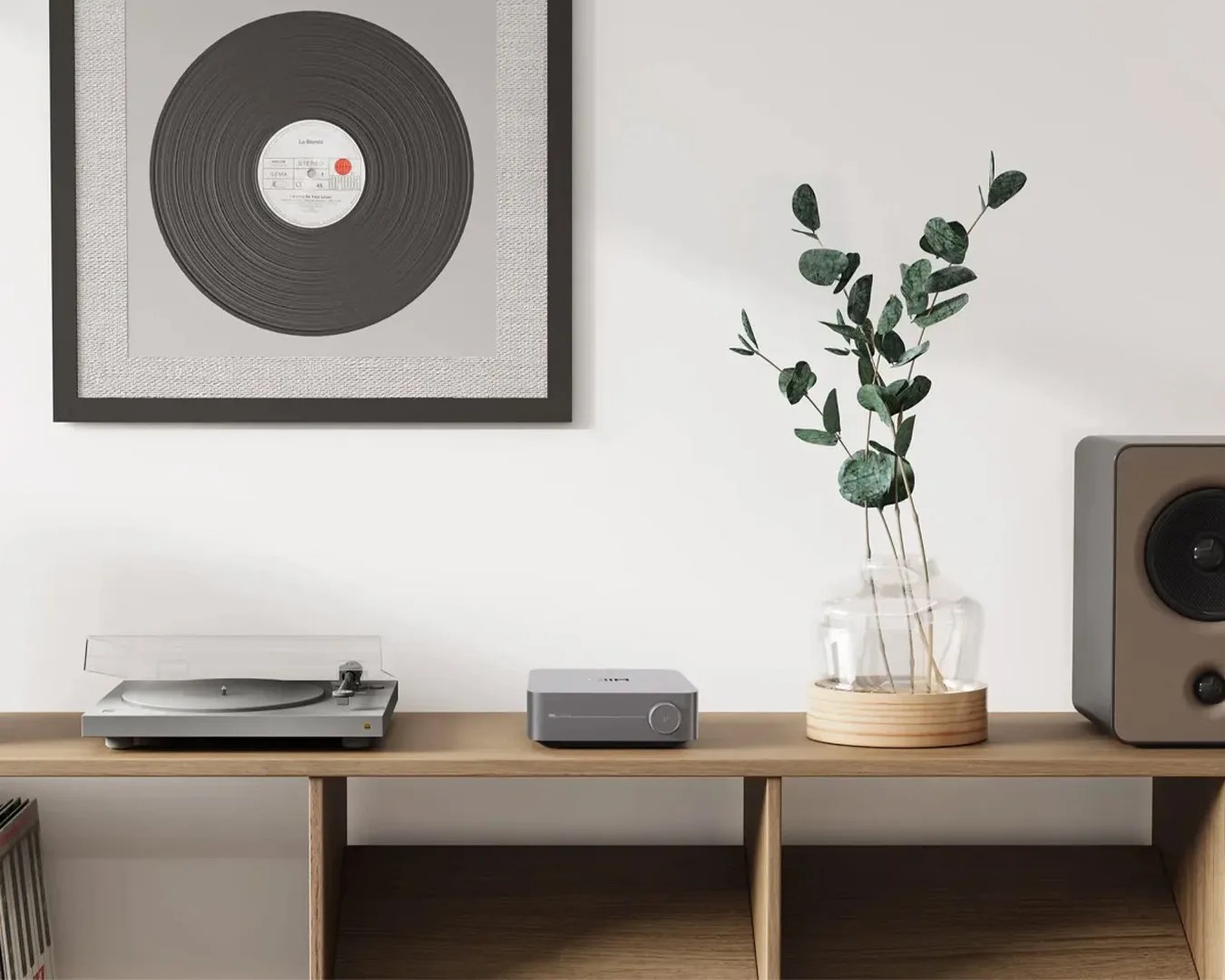 WiiM Amp Pro on shelf next to a record player, plant and speaker