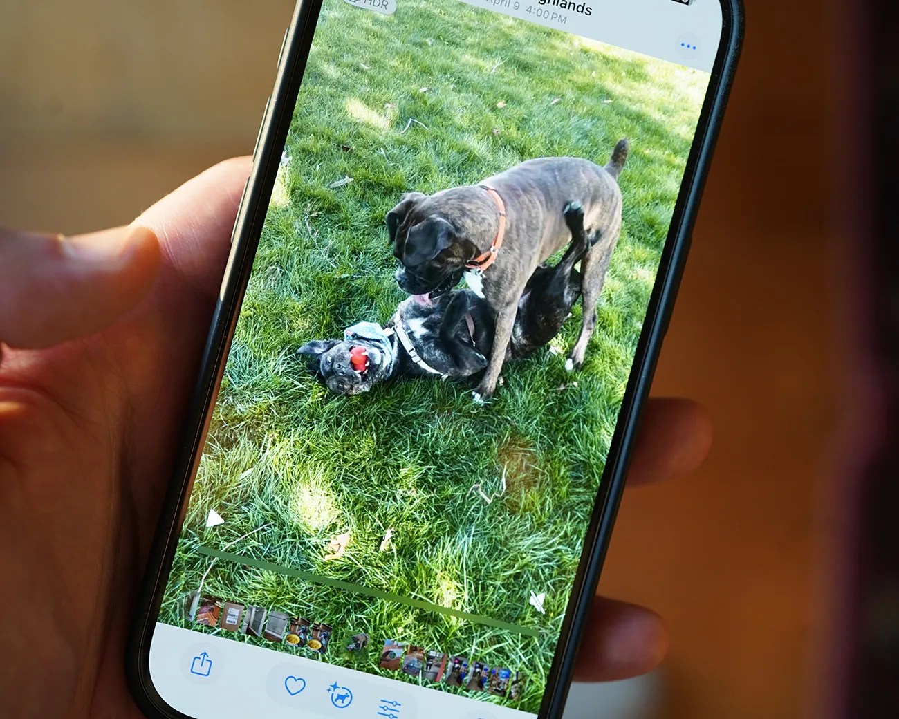 iOS.12 Photos app updates