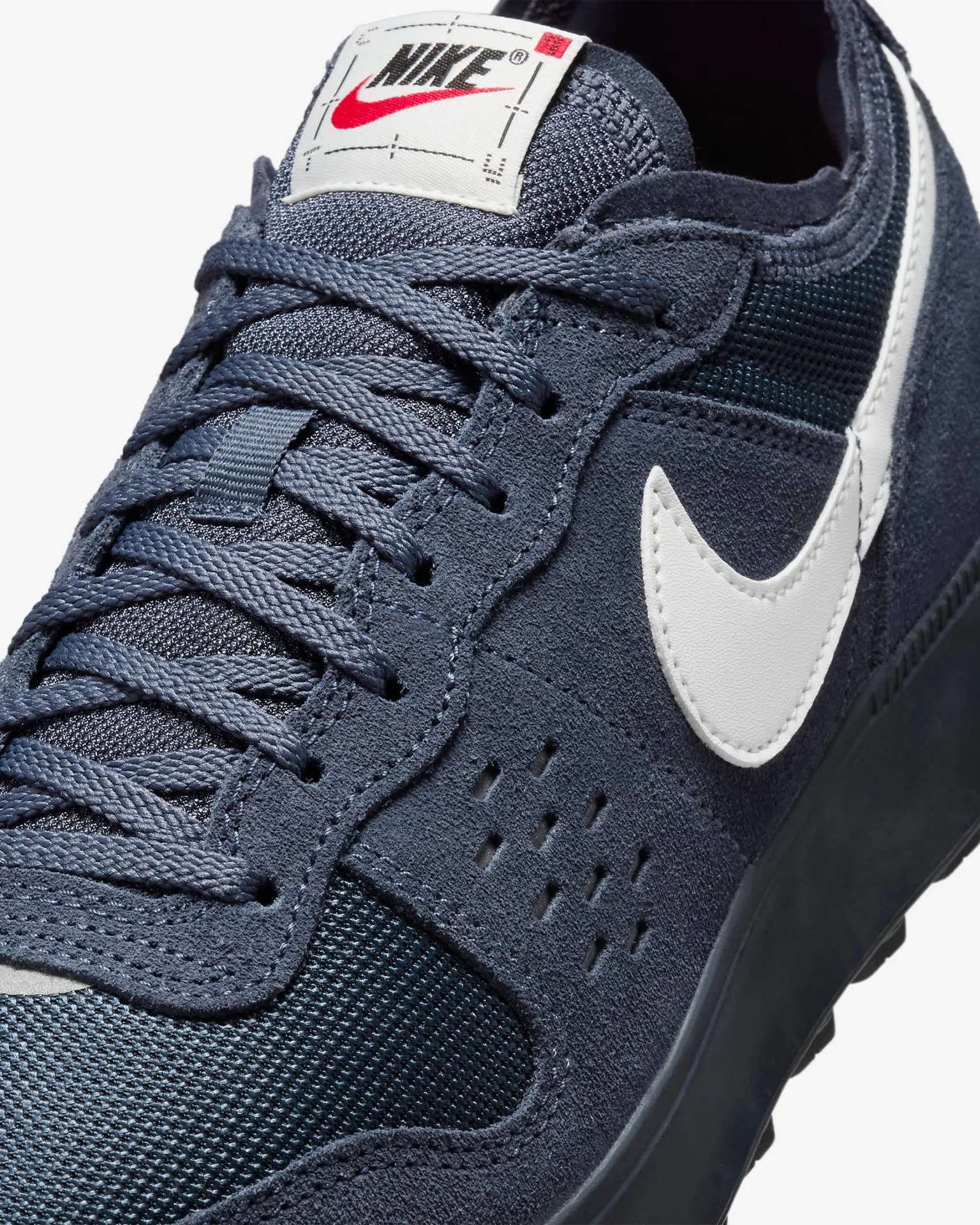 blue nike sneaker