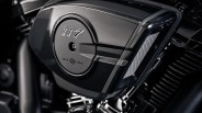 2025 harley davidson street glide macro