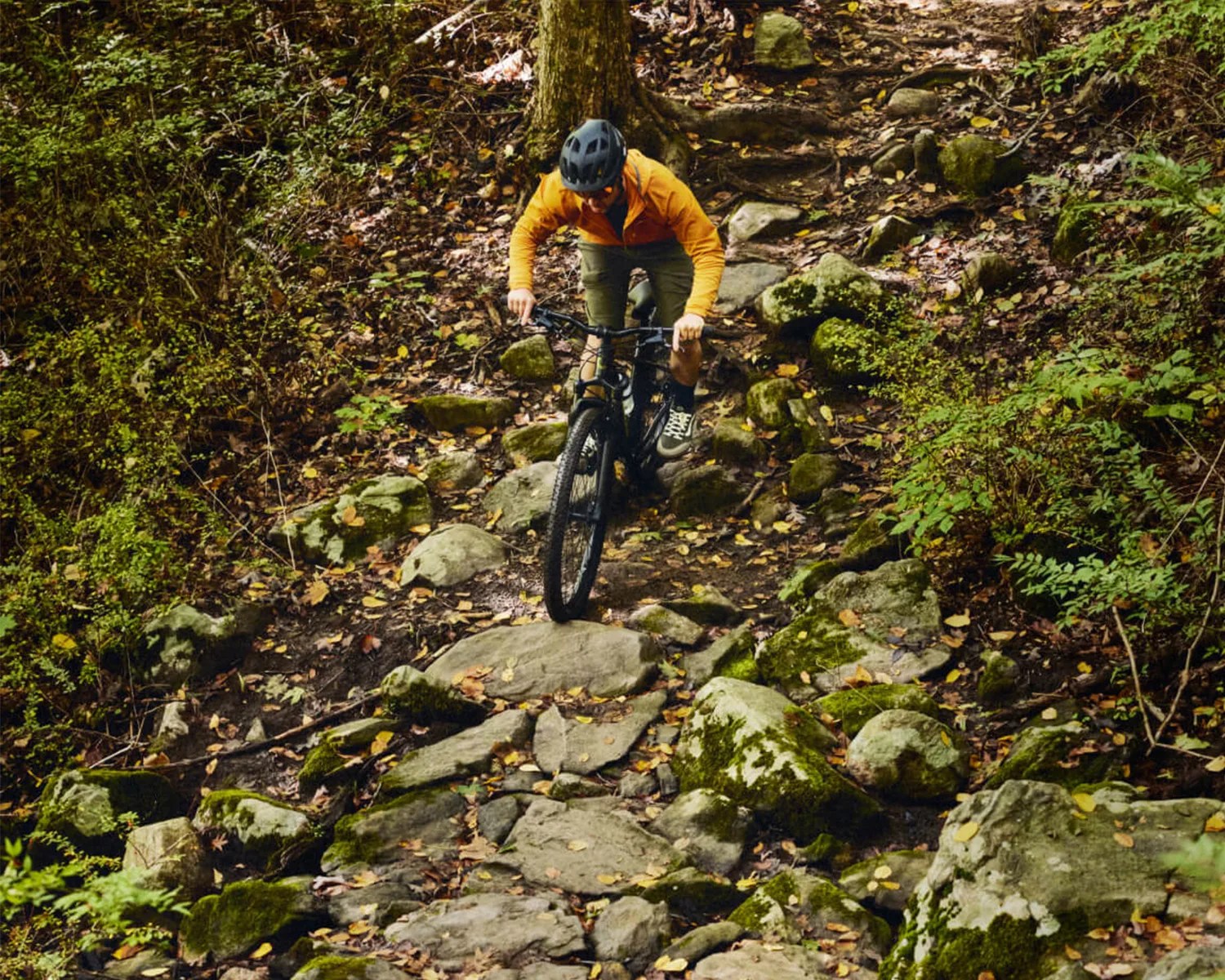 dropper post action