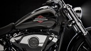 2025 harley davidson breakout macro