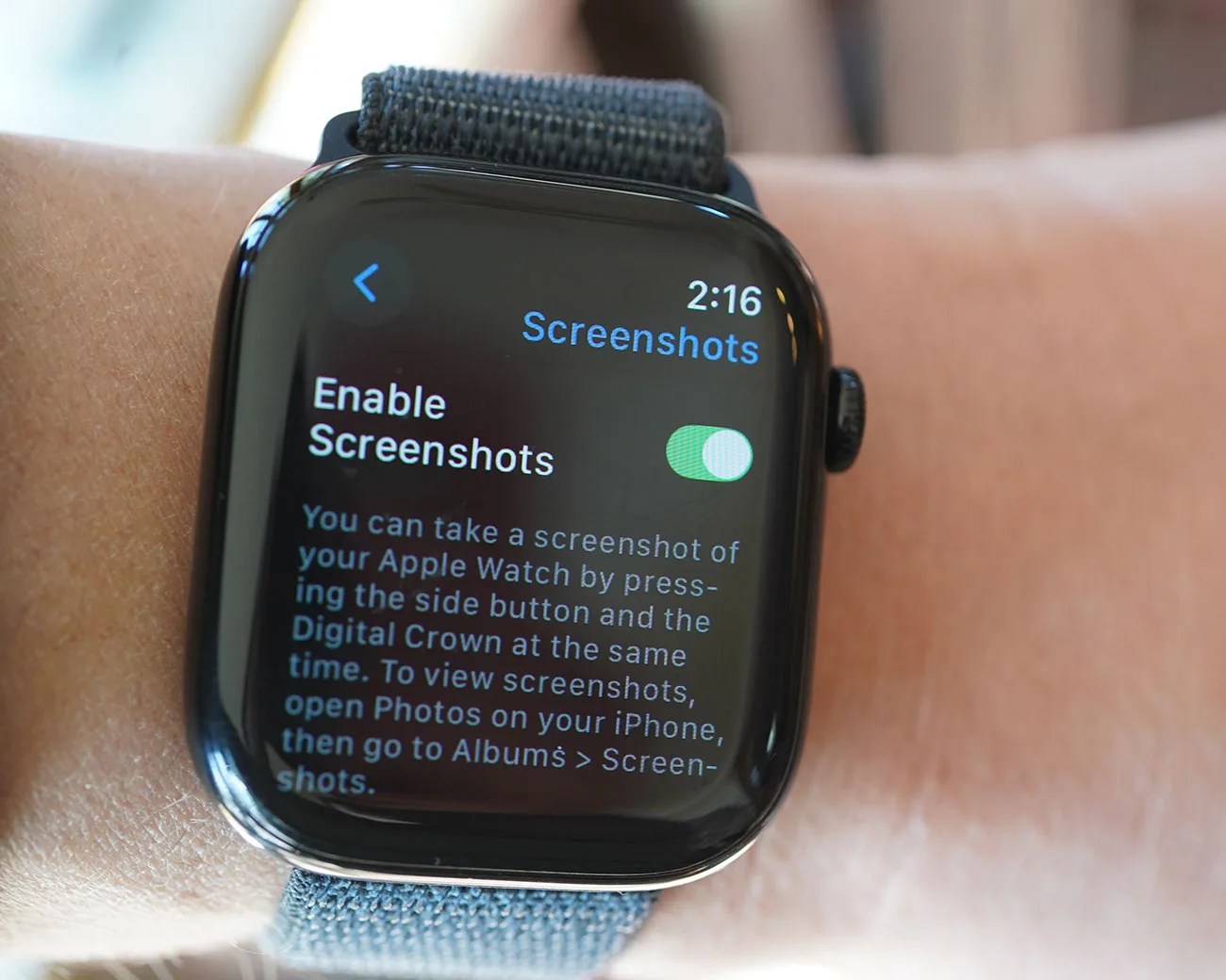 Apple Watch screenshots