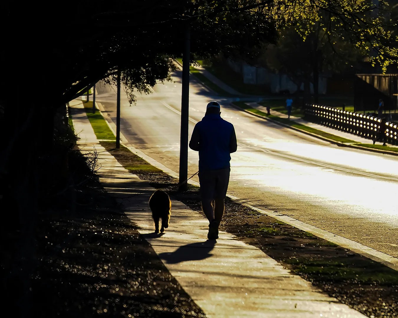 man walking dog on leash
