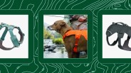 collage with fly fisherman petting a dog wearing an orange harness and two other harnesses