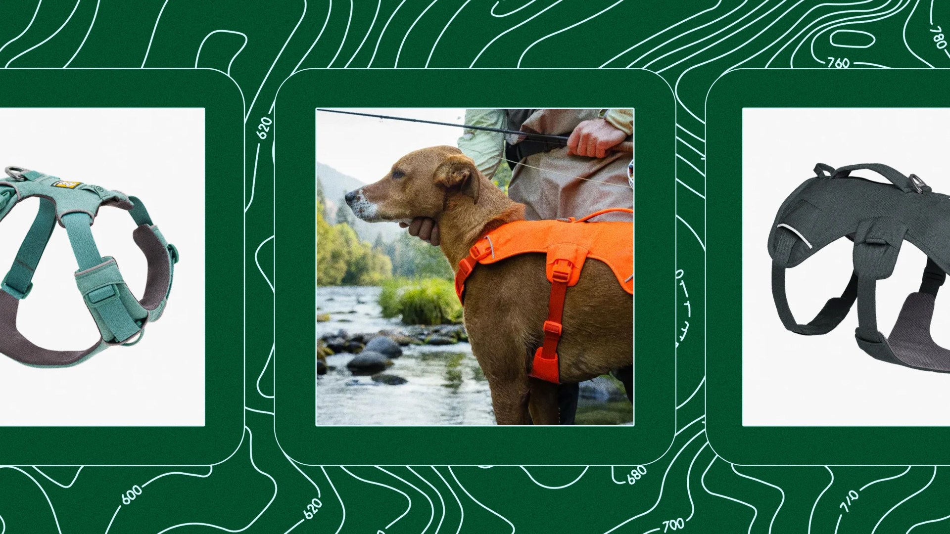 collage with fly fisherman petting a dog wearing an orange harness and two other harnesses