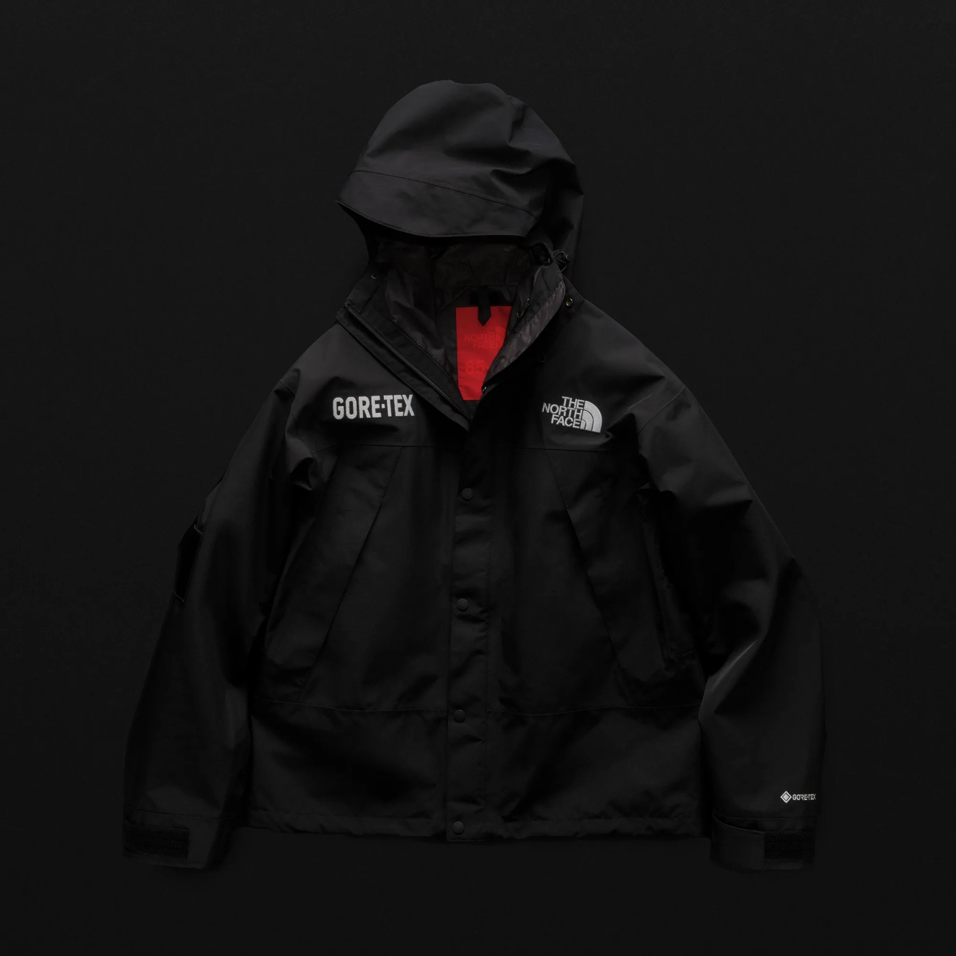 The North Face Goretex Jacket in black