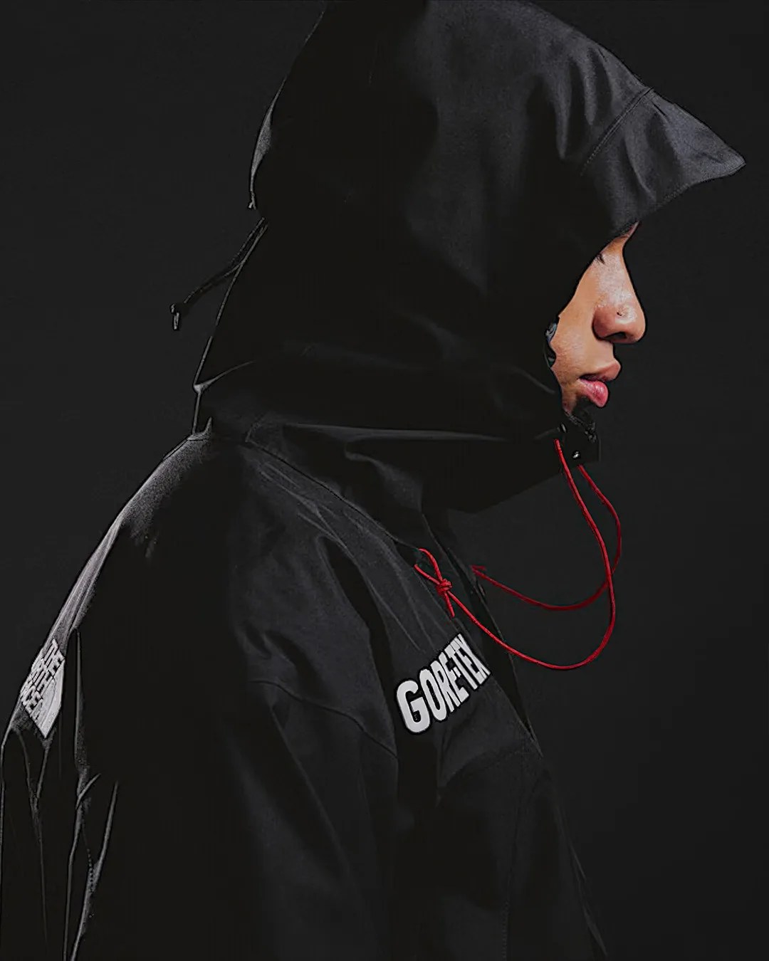 The North Face Gore-Tex Mountain Jacket