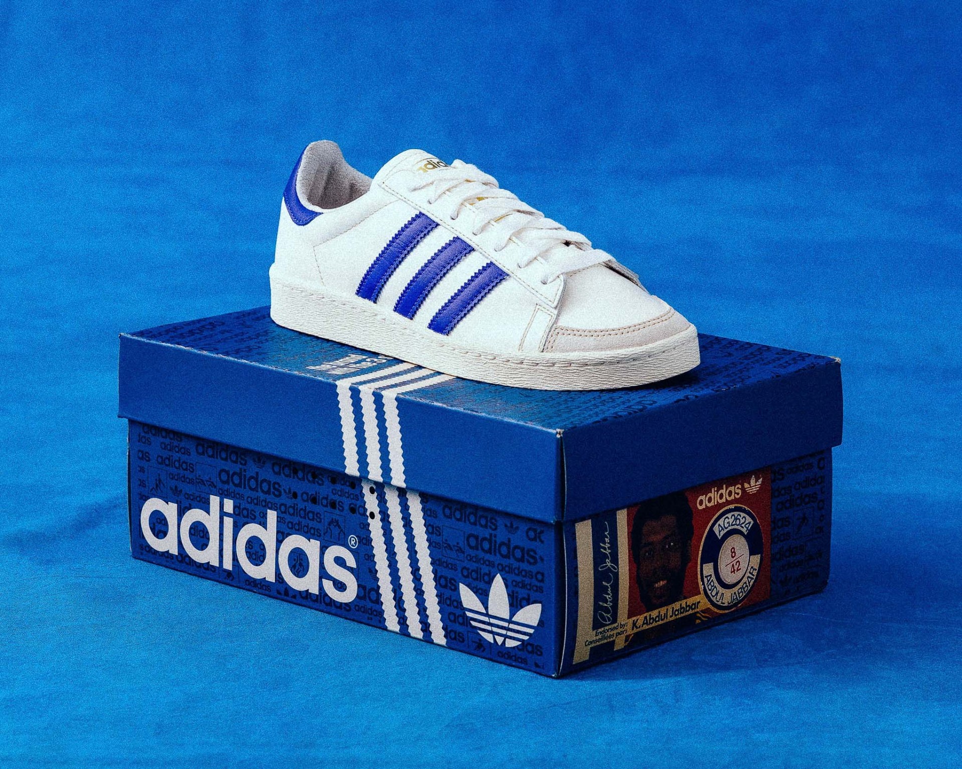 Adidas shoe