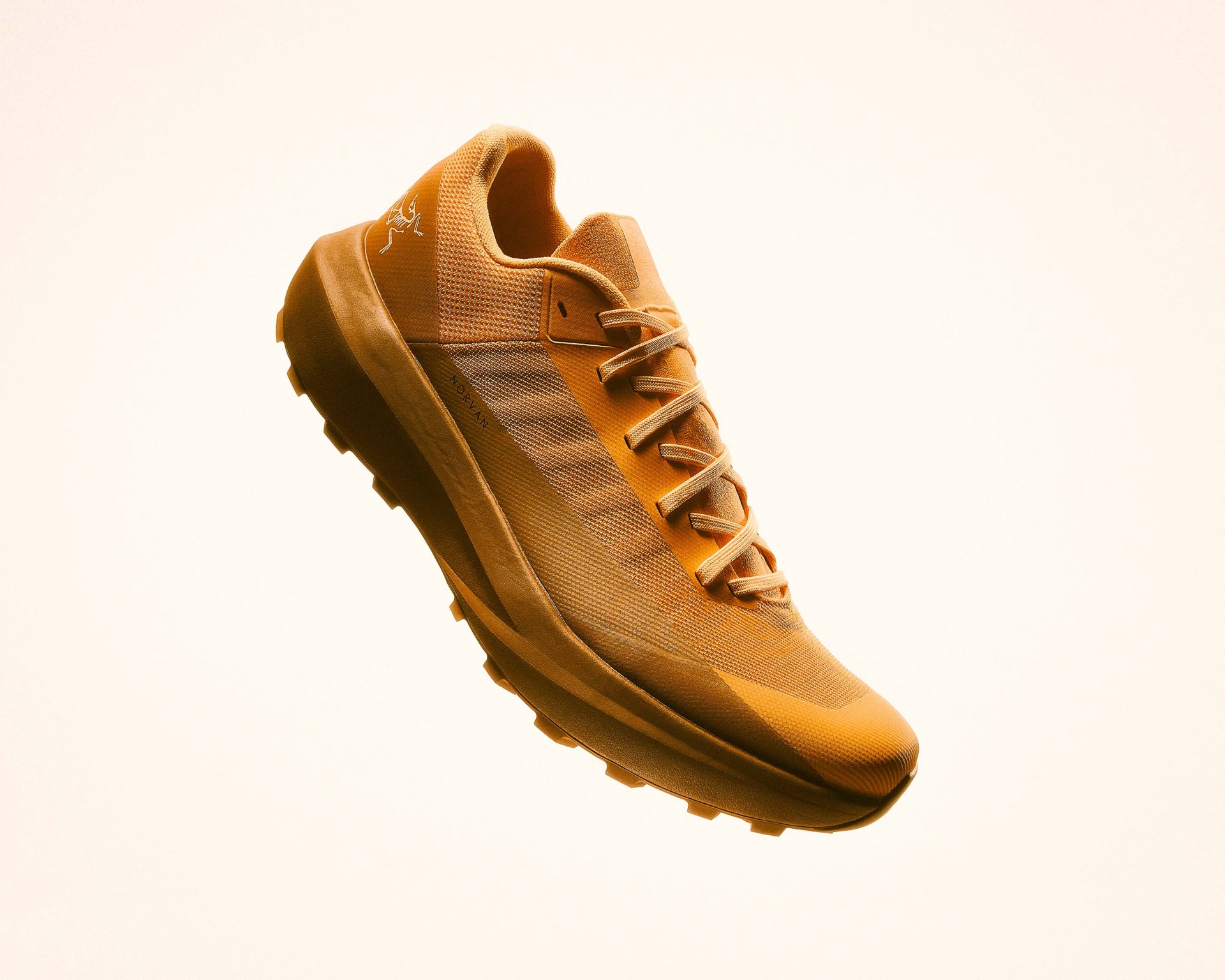 Arc'teryx shoe
