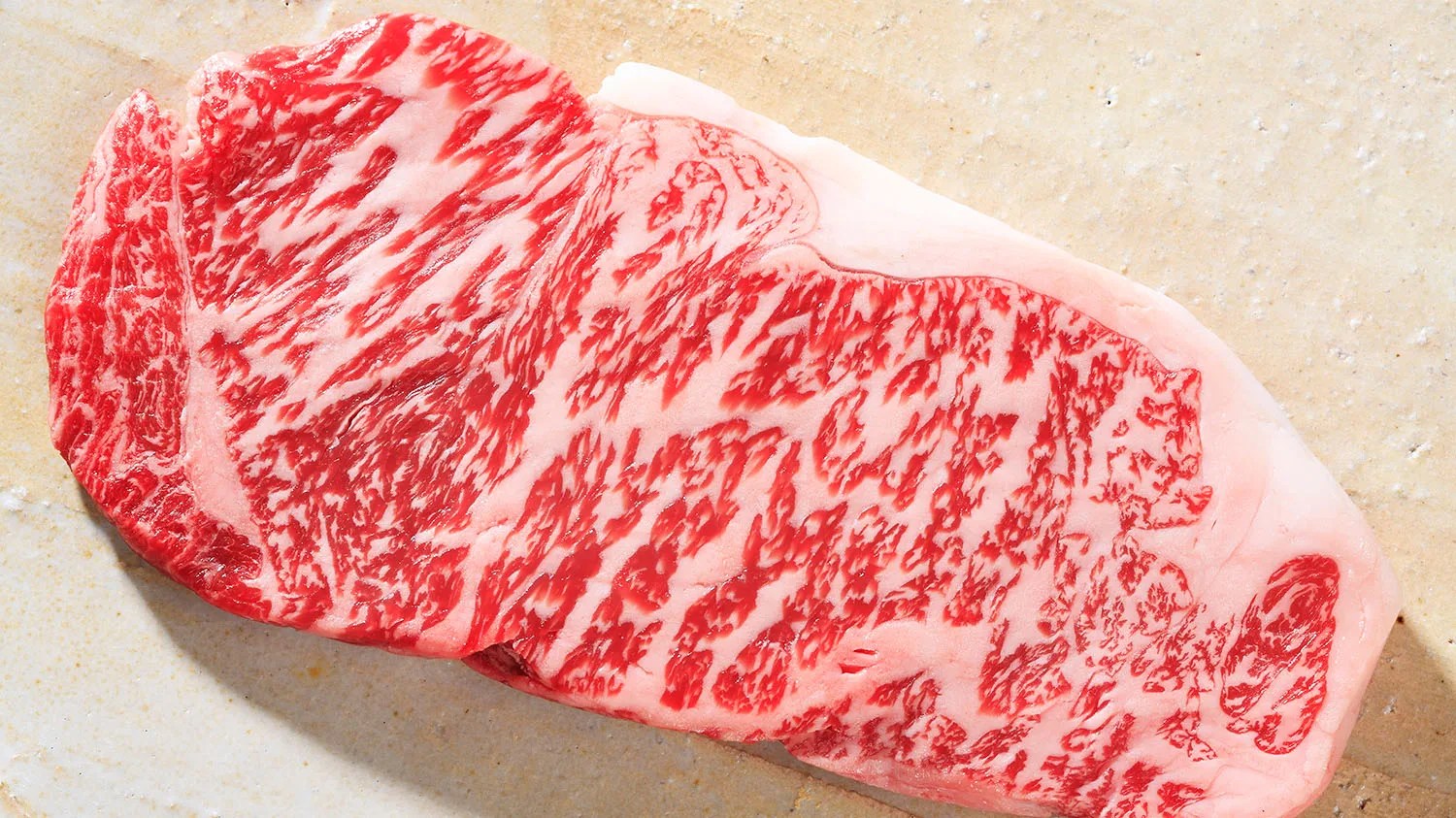 wagyu steak