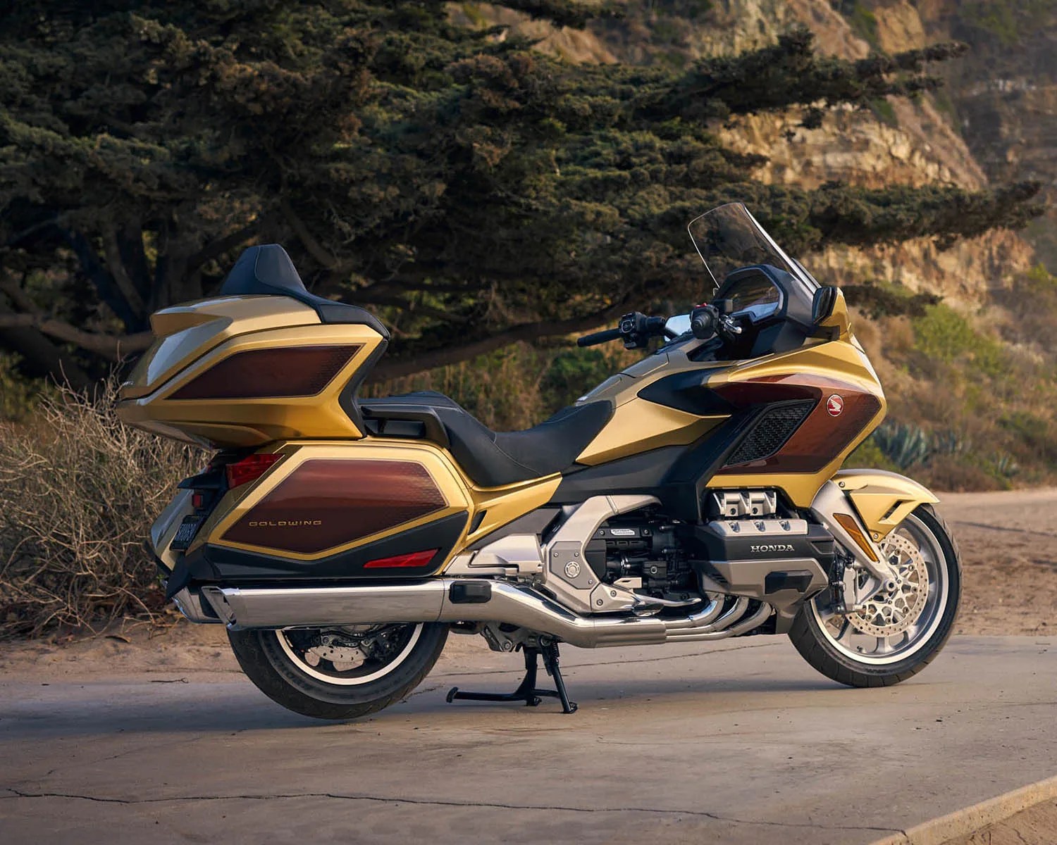 honda gold wing tour 50th anniversary side view