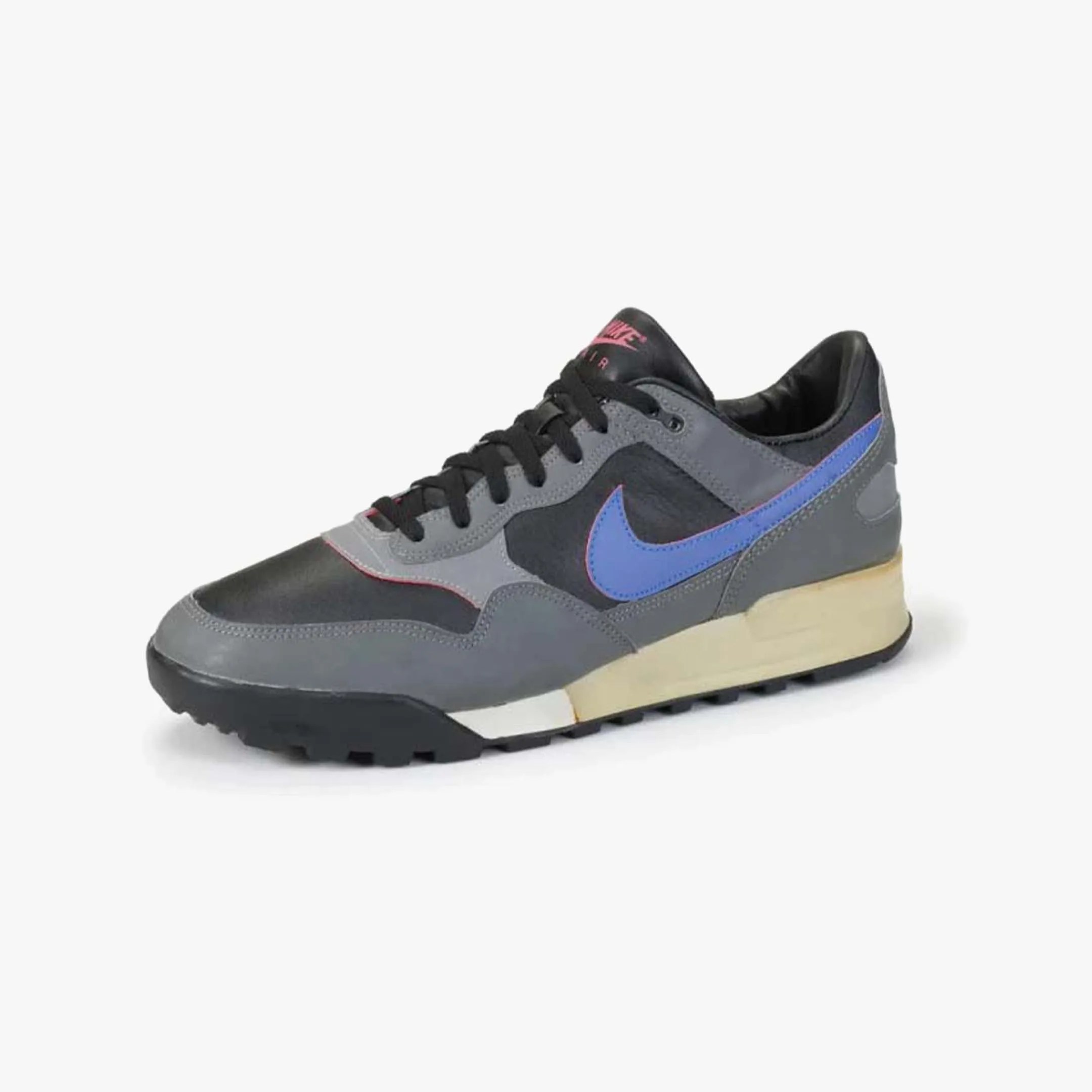 Nike acg shoe