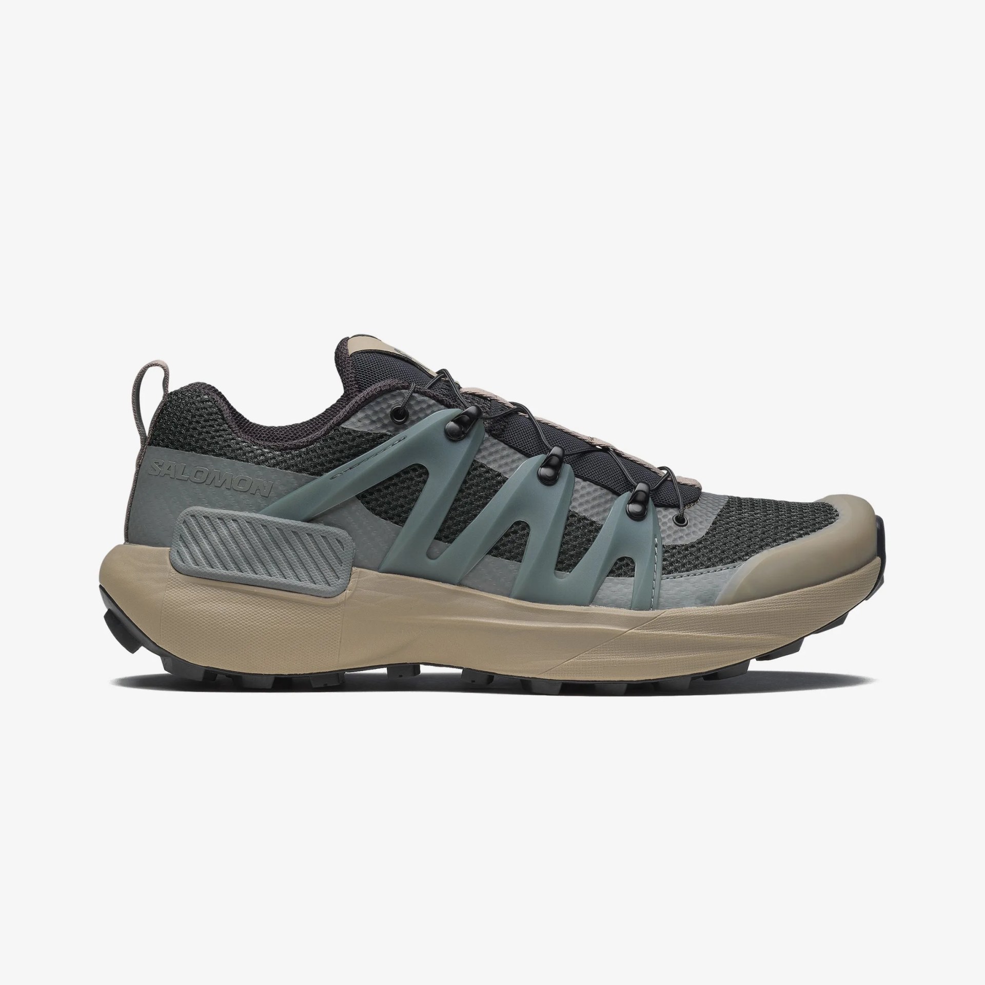 Salomon shoe