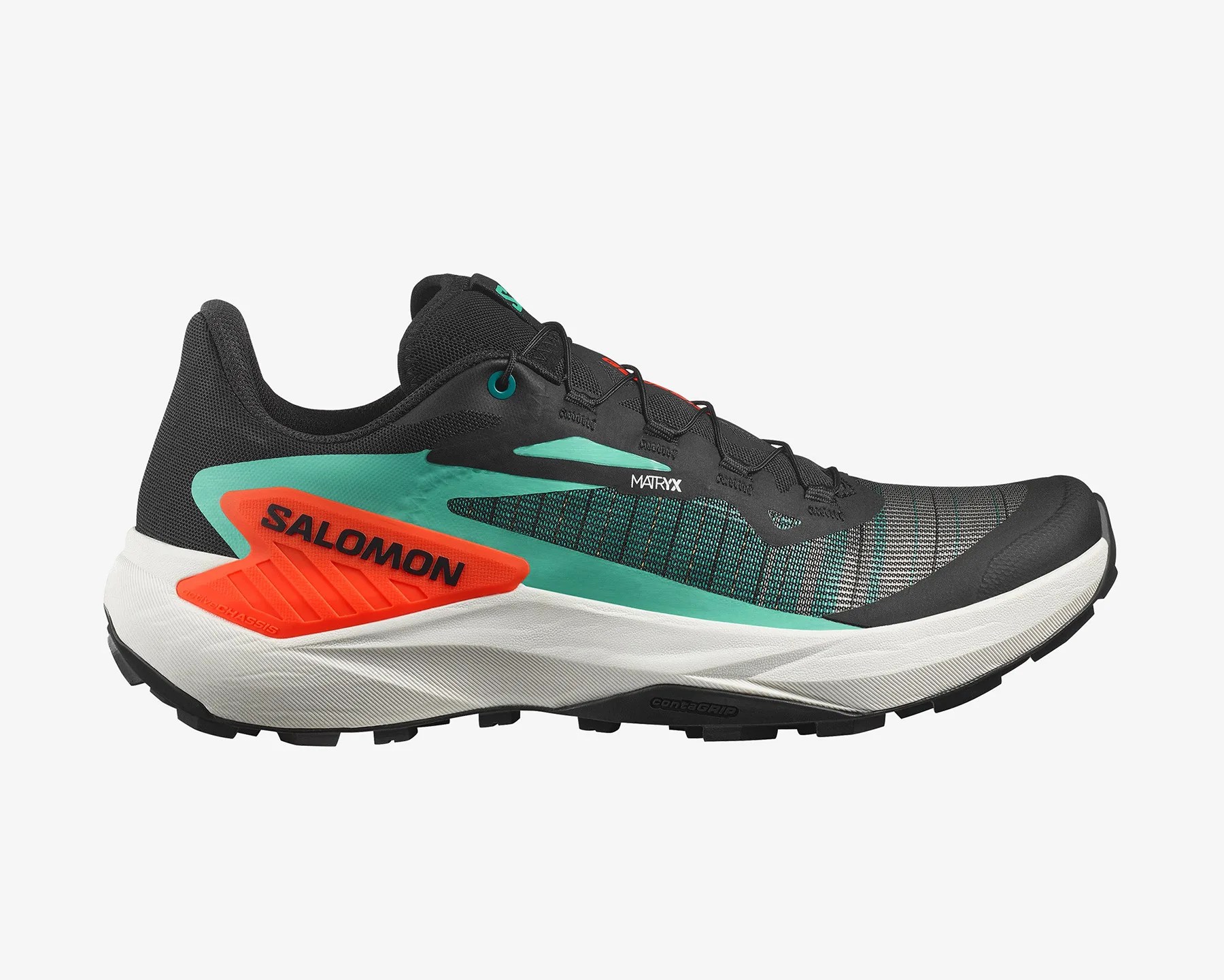 Salomon shoe