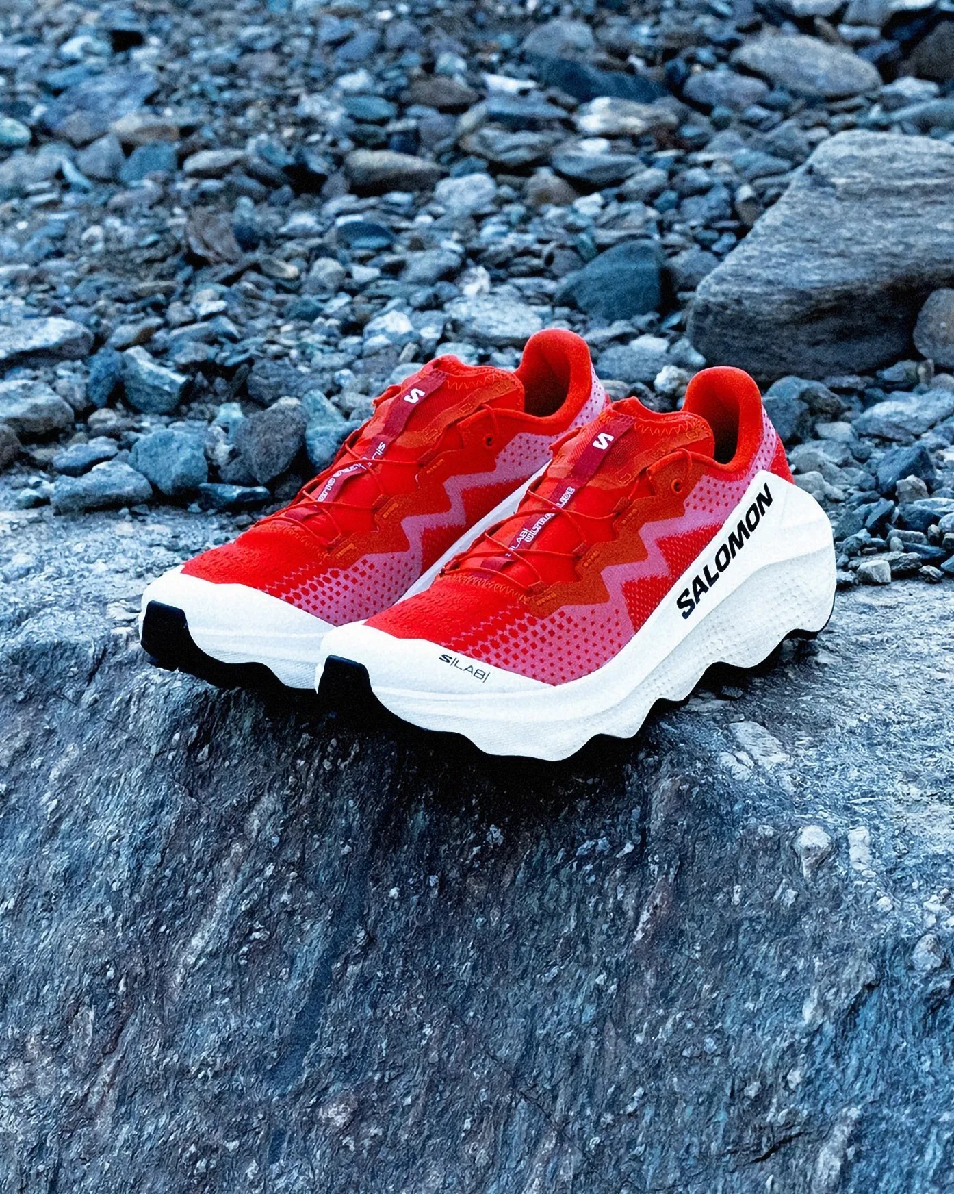 Salomon running shoe