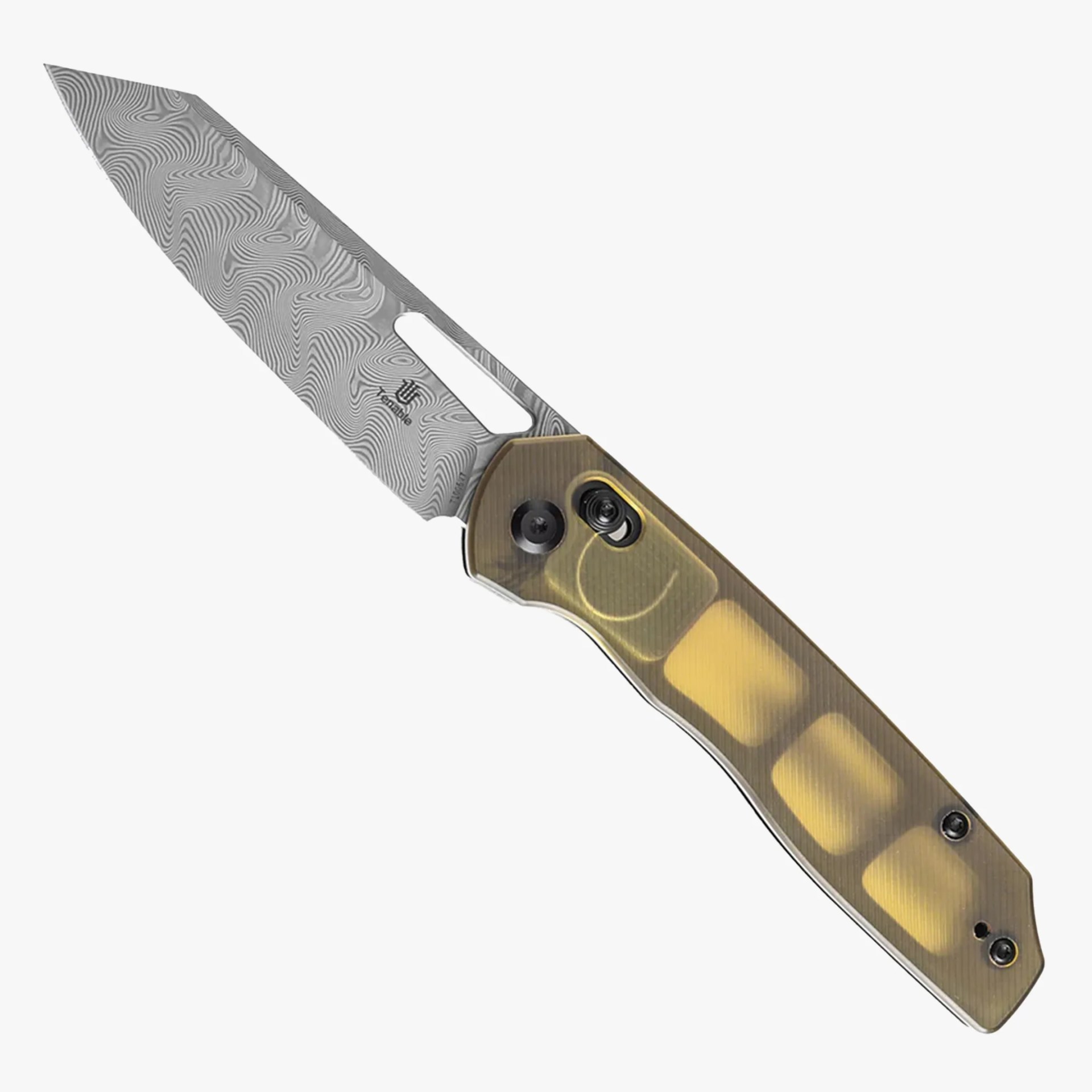 tenable shard embed