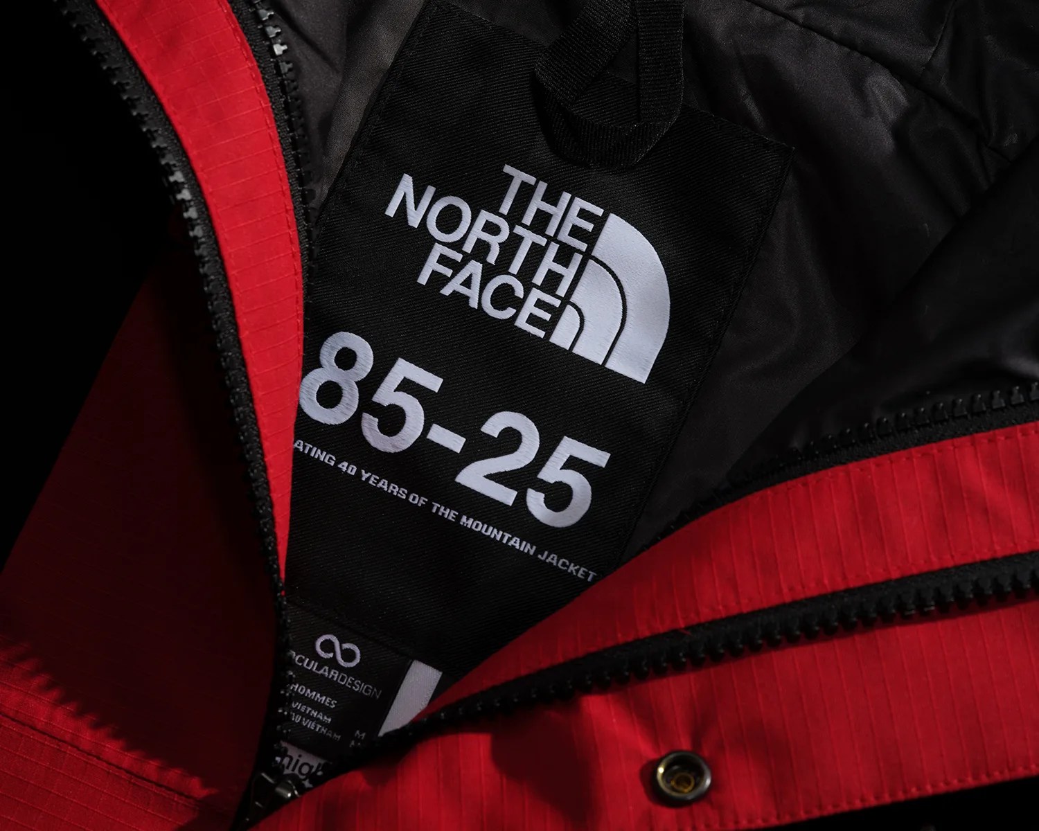 the north face mountain jacket 40th anniversary detail