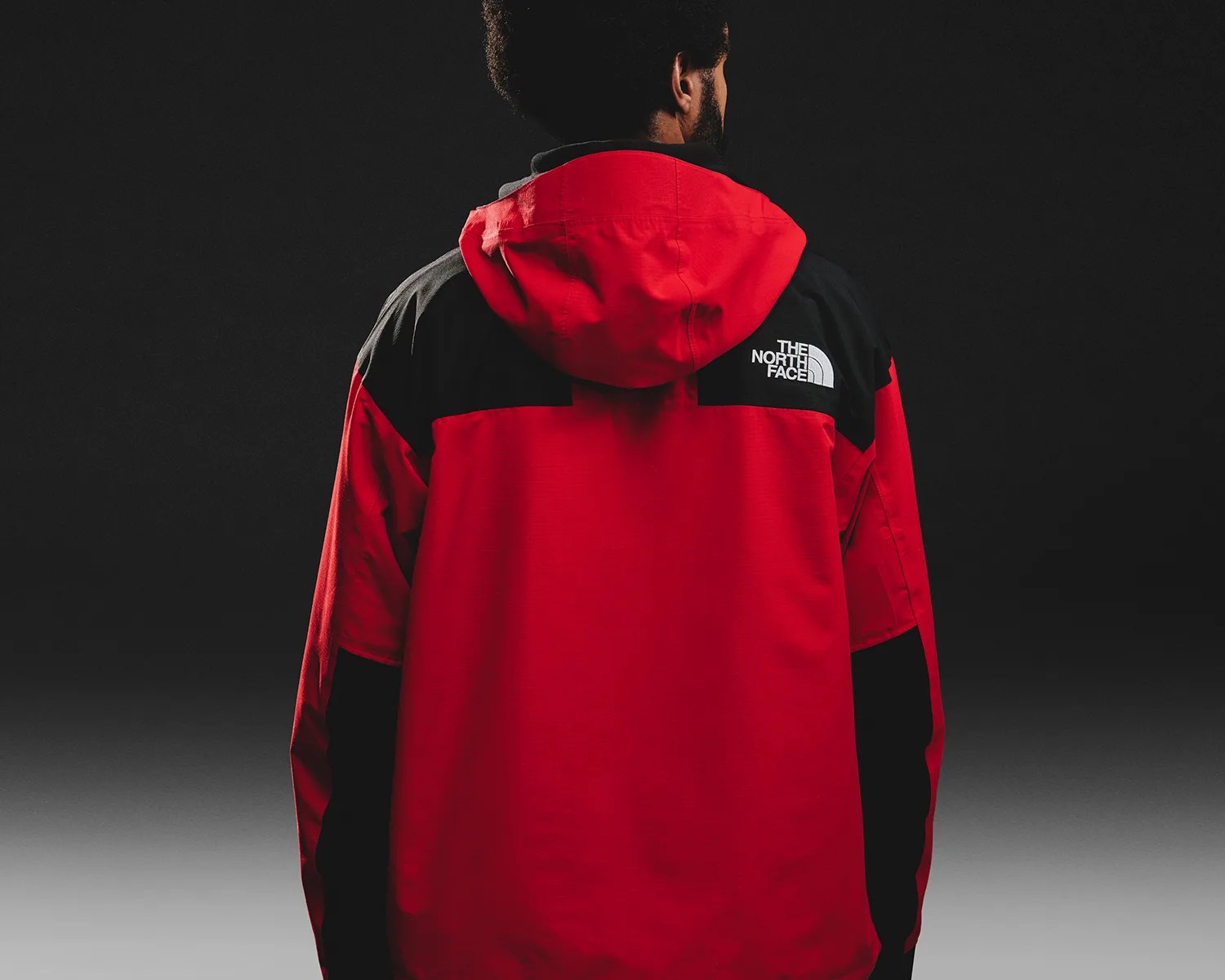 the north face mountain jacket back