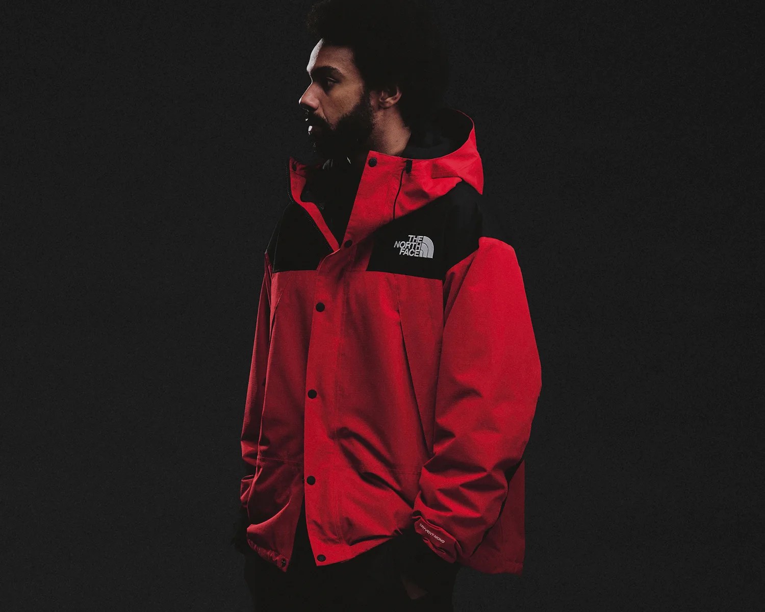the north face mountain jacket front