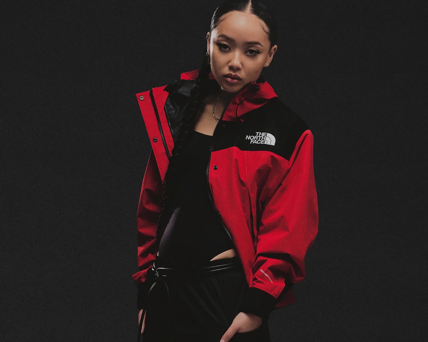 the north face mountain jacket griff