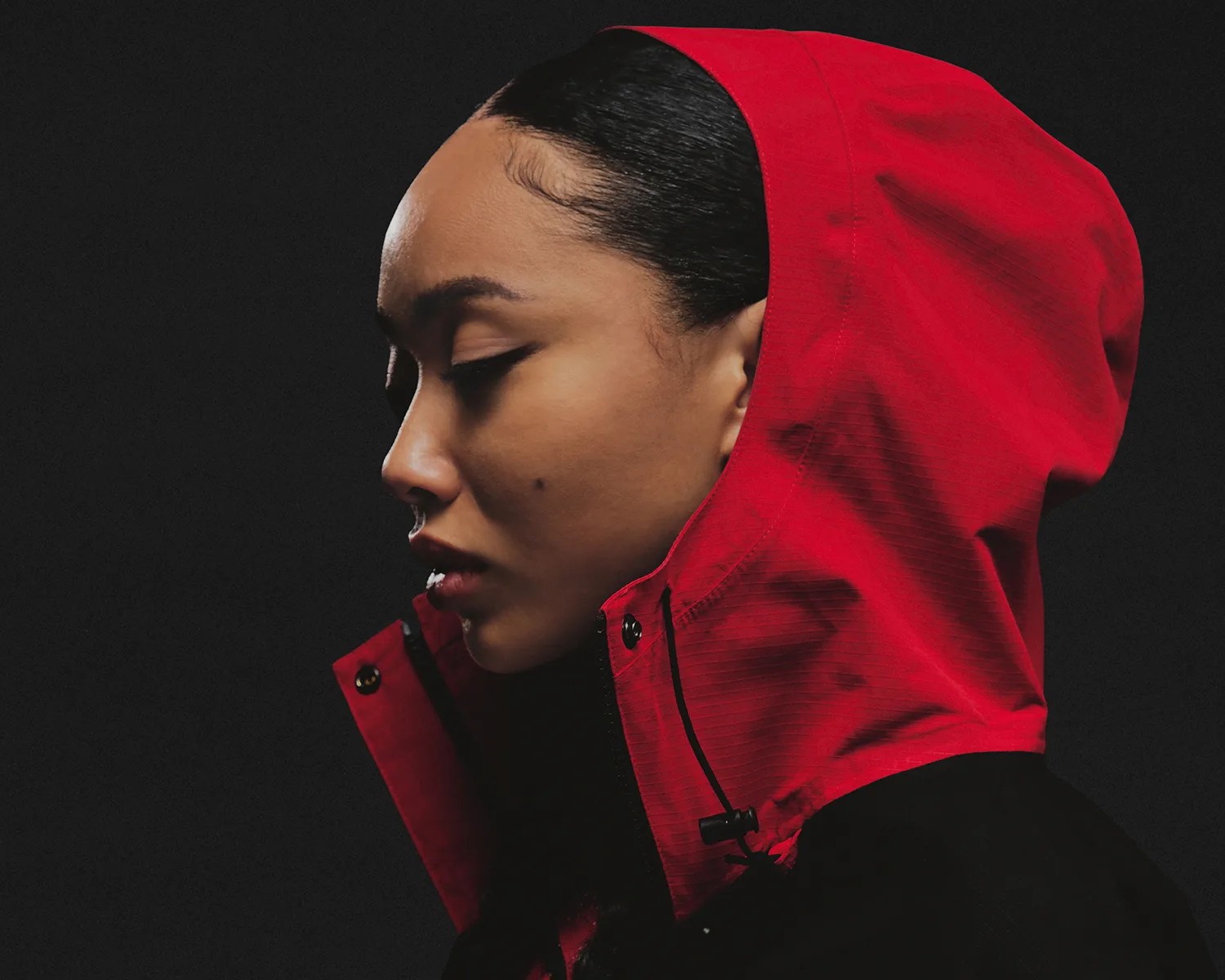 the north face mountain jacket hood