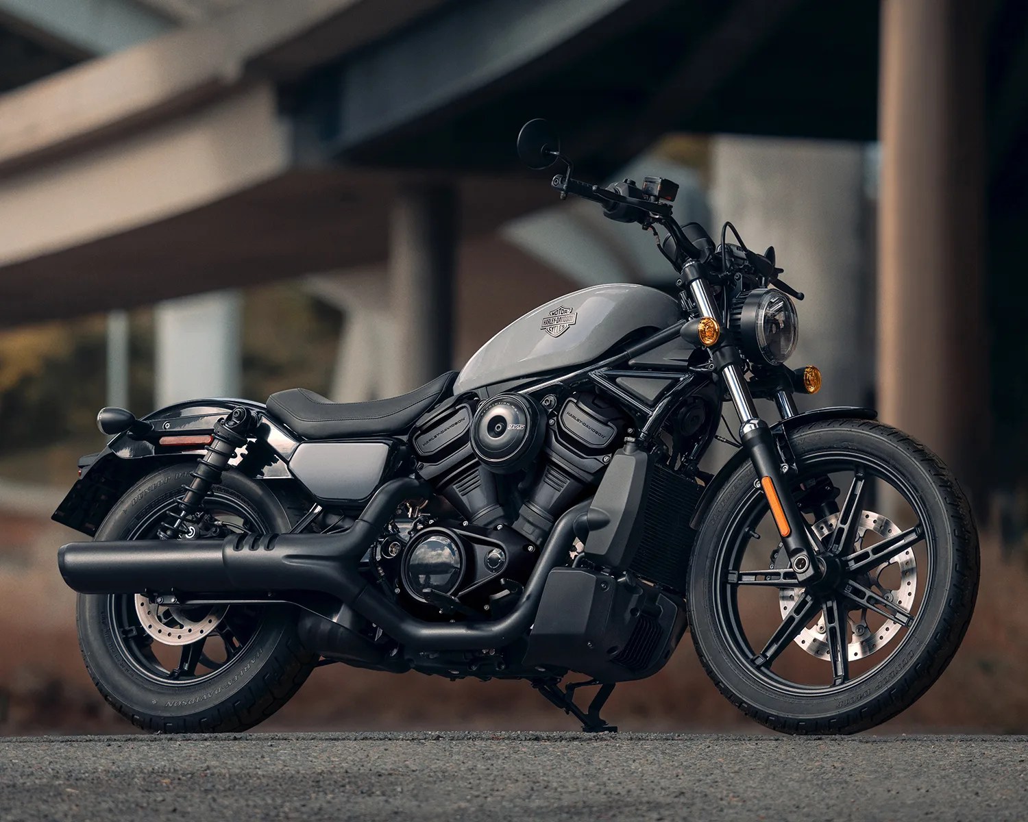 2025 harley davidson nightster beauty